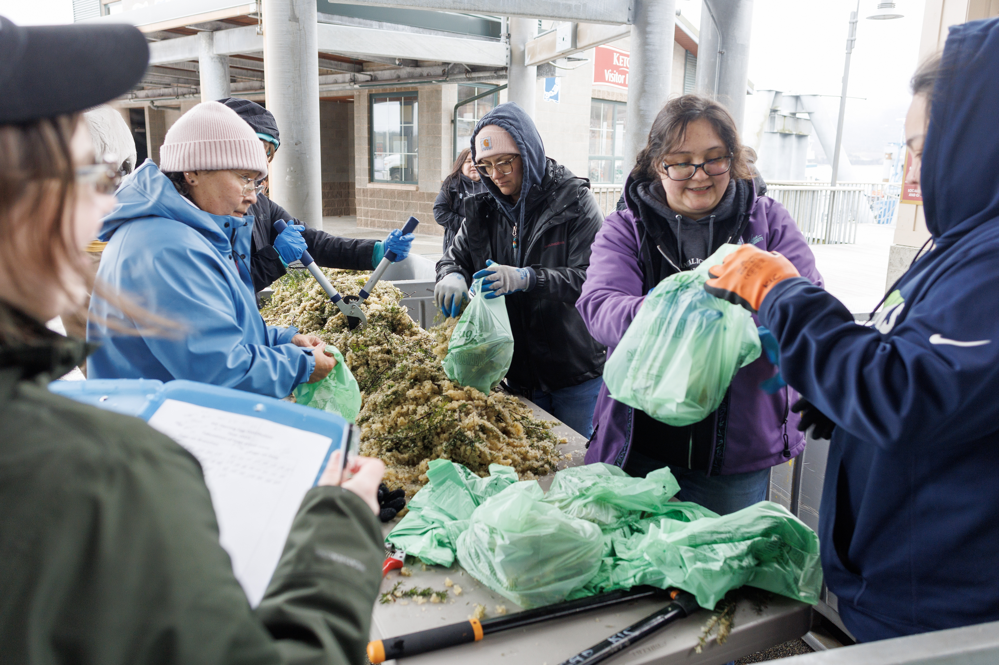 2023 04 12 KIC Herring Egg Distribution 1