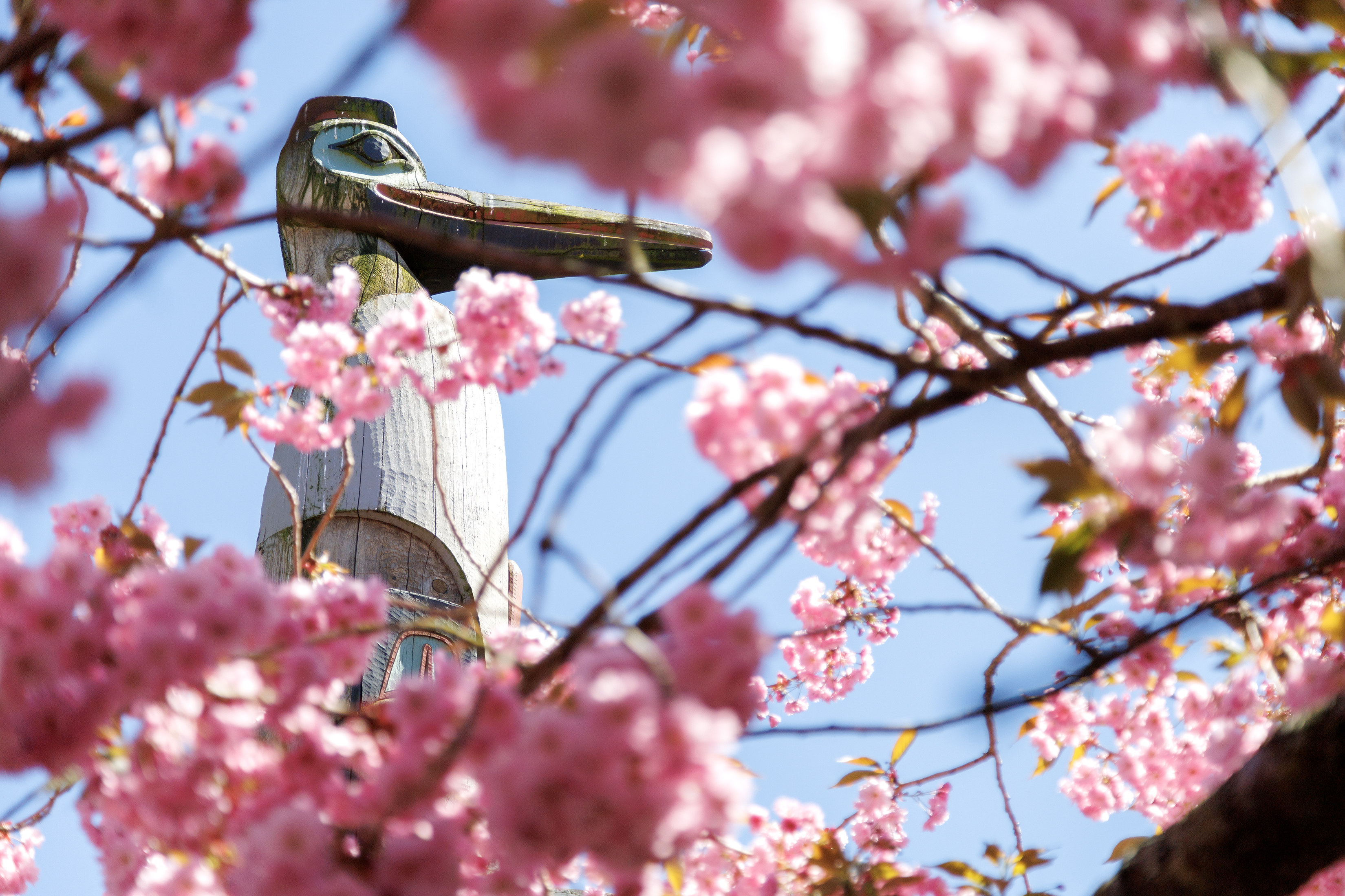 2023 05 16 Crane Totem Flowers
