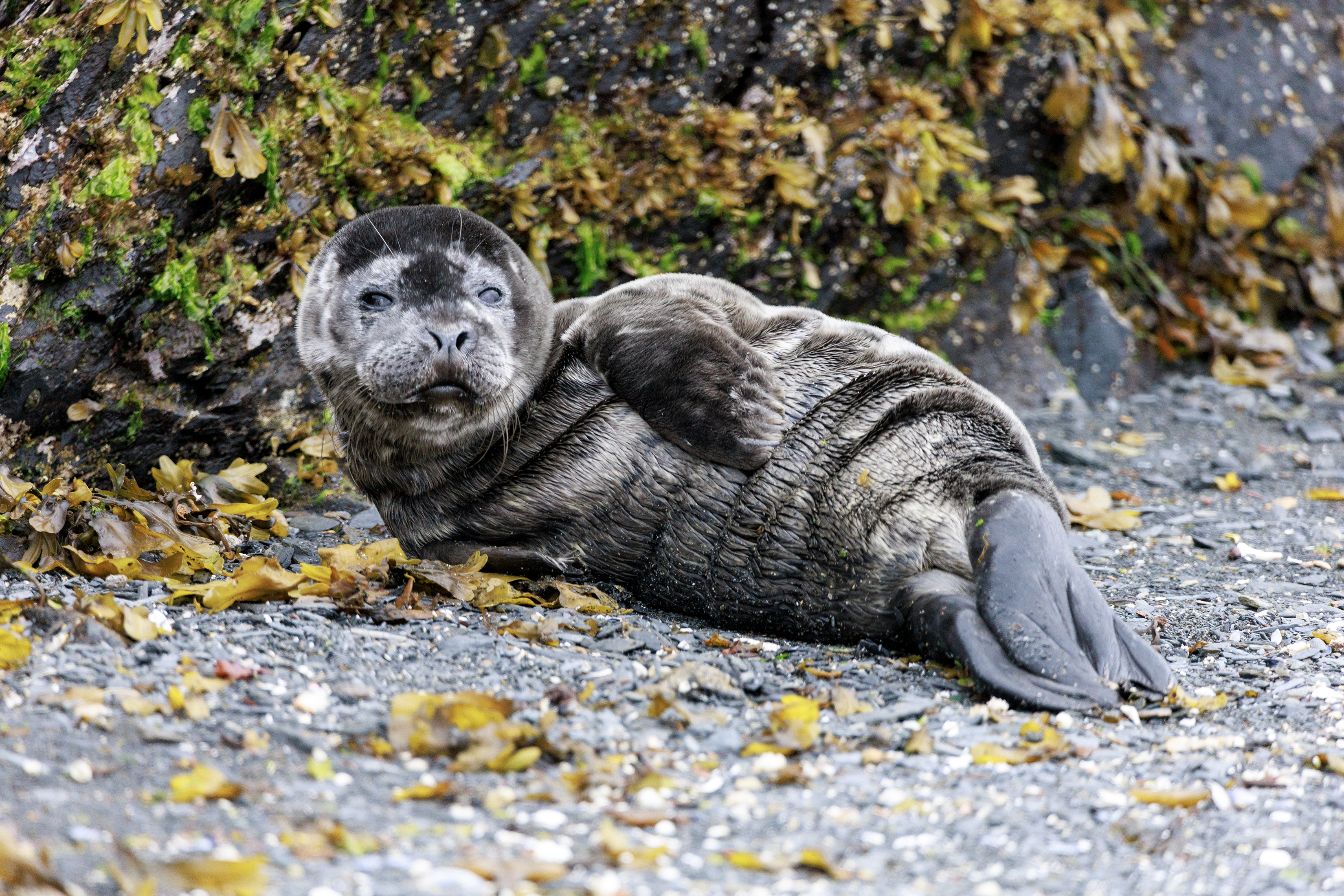 2023 06 05 Seal