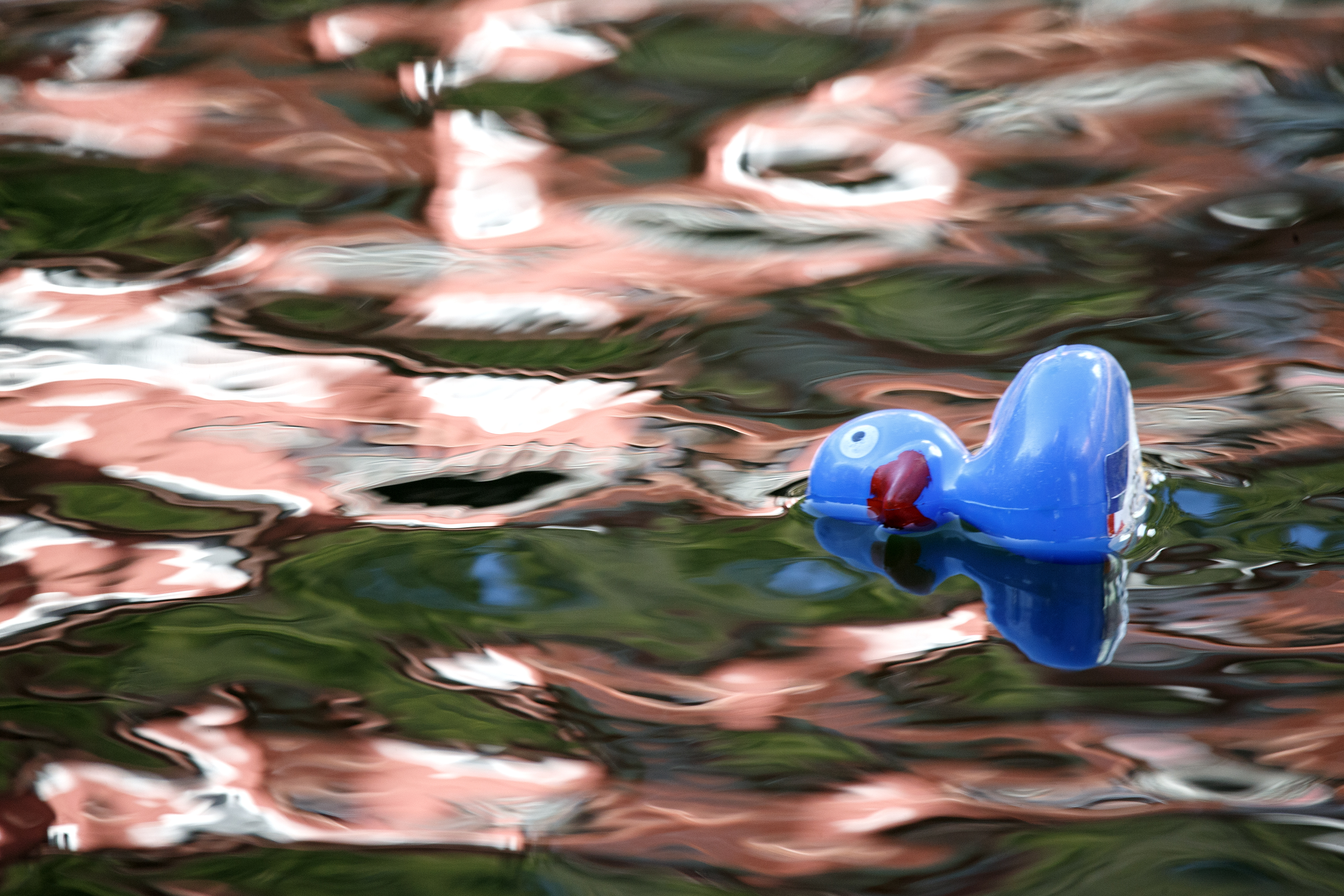 2023 07 04 Duck Race 3