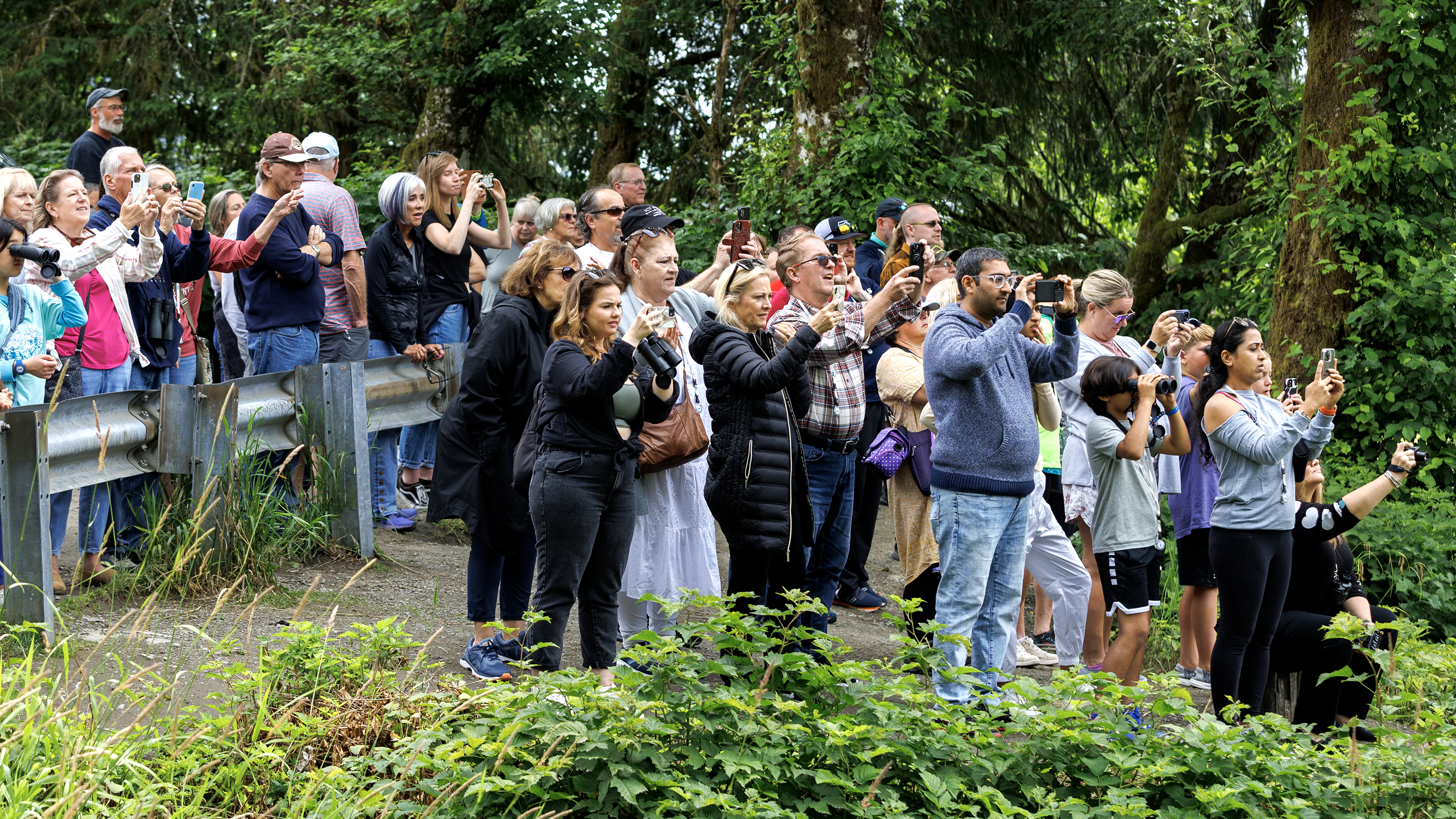 2023 07 21 Bear Watchers