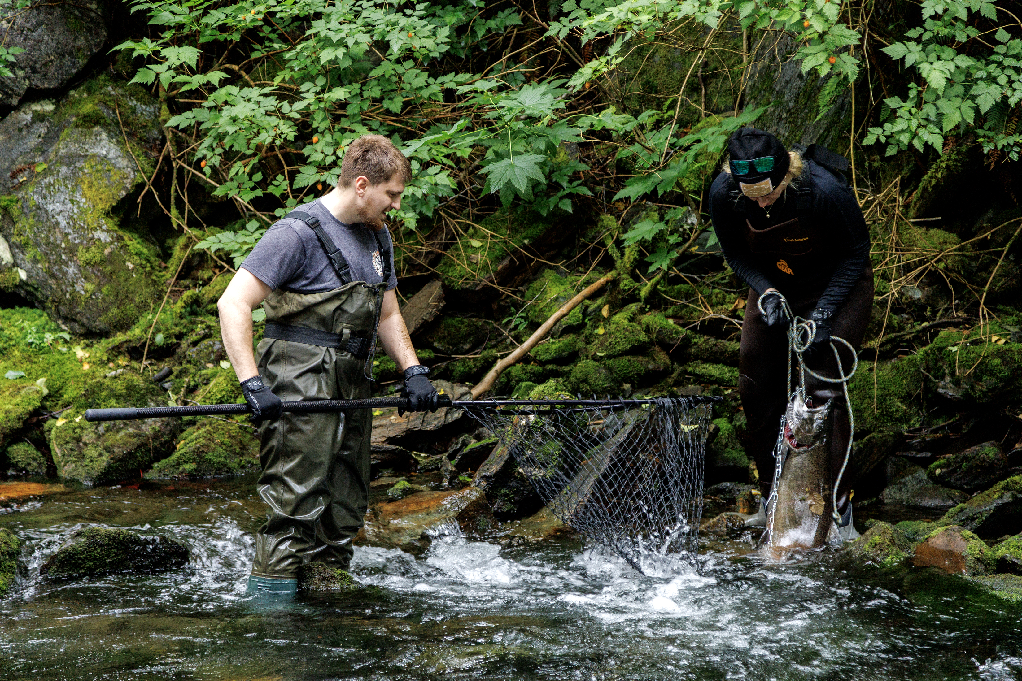 2023 07 22 Dip Net Fishing 1