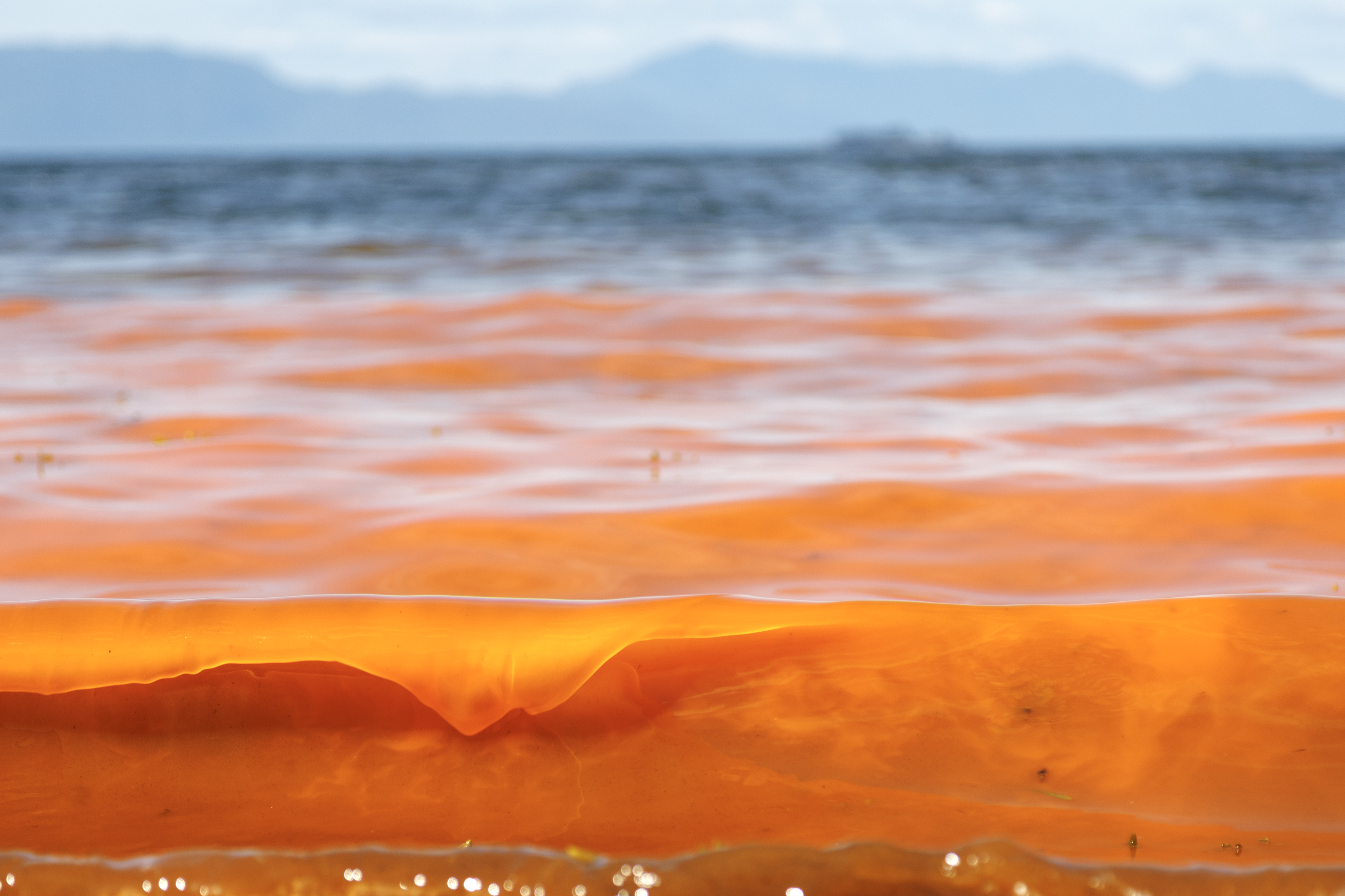2023 07 26 Orange Ocean Wave