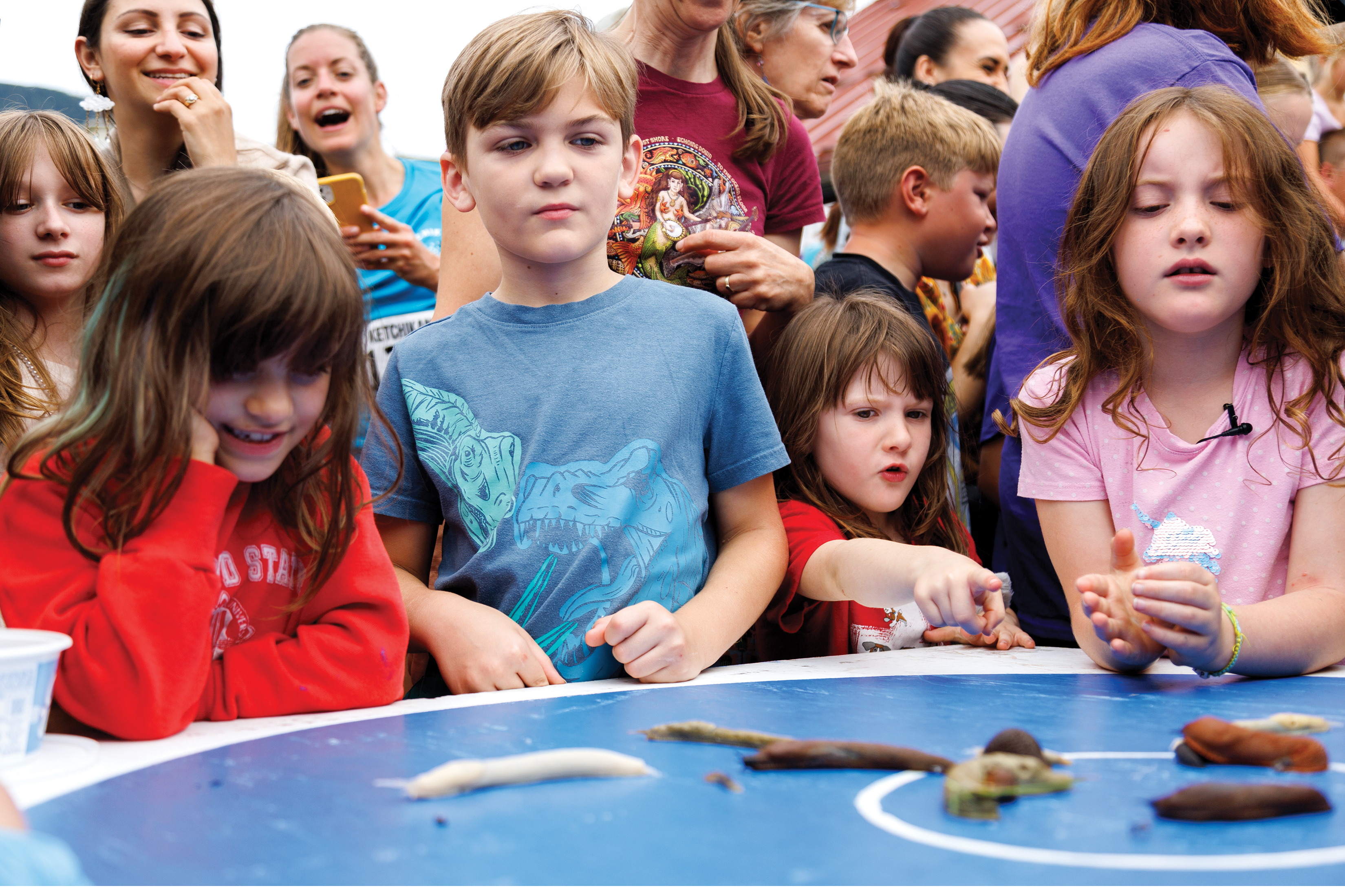 2023 08 05 Blueberry Festival 3