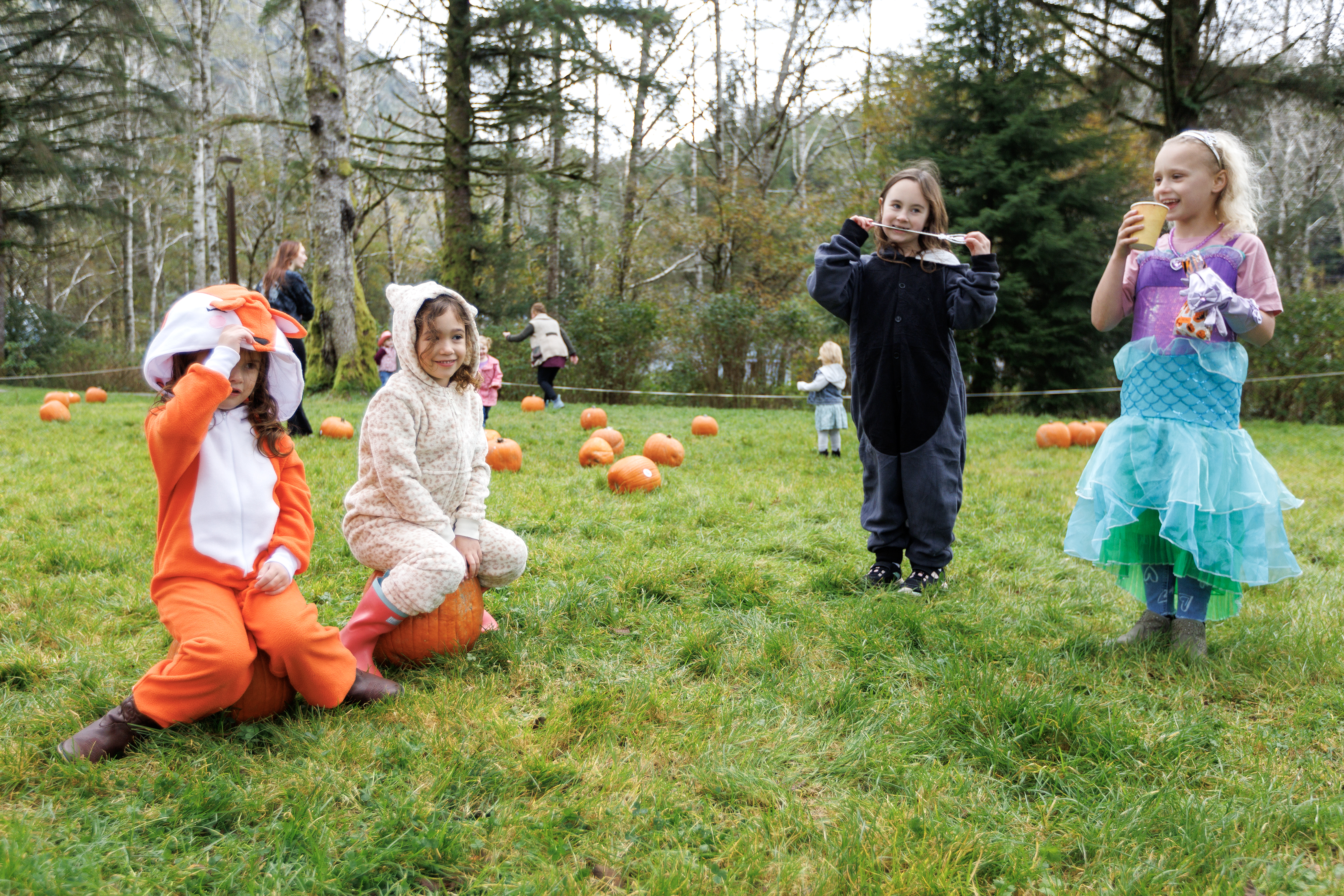 2023 10 21 Pumkin Patch