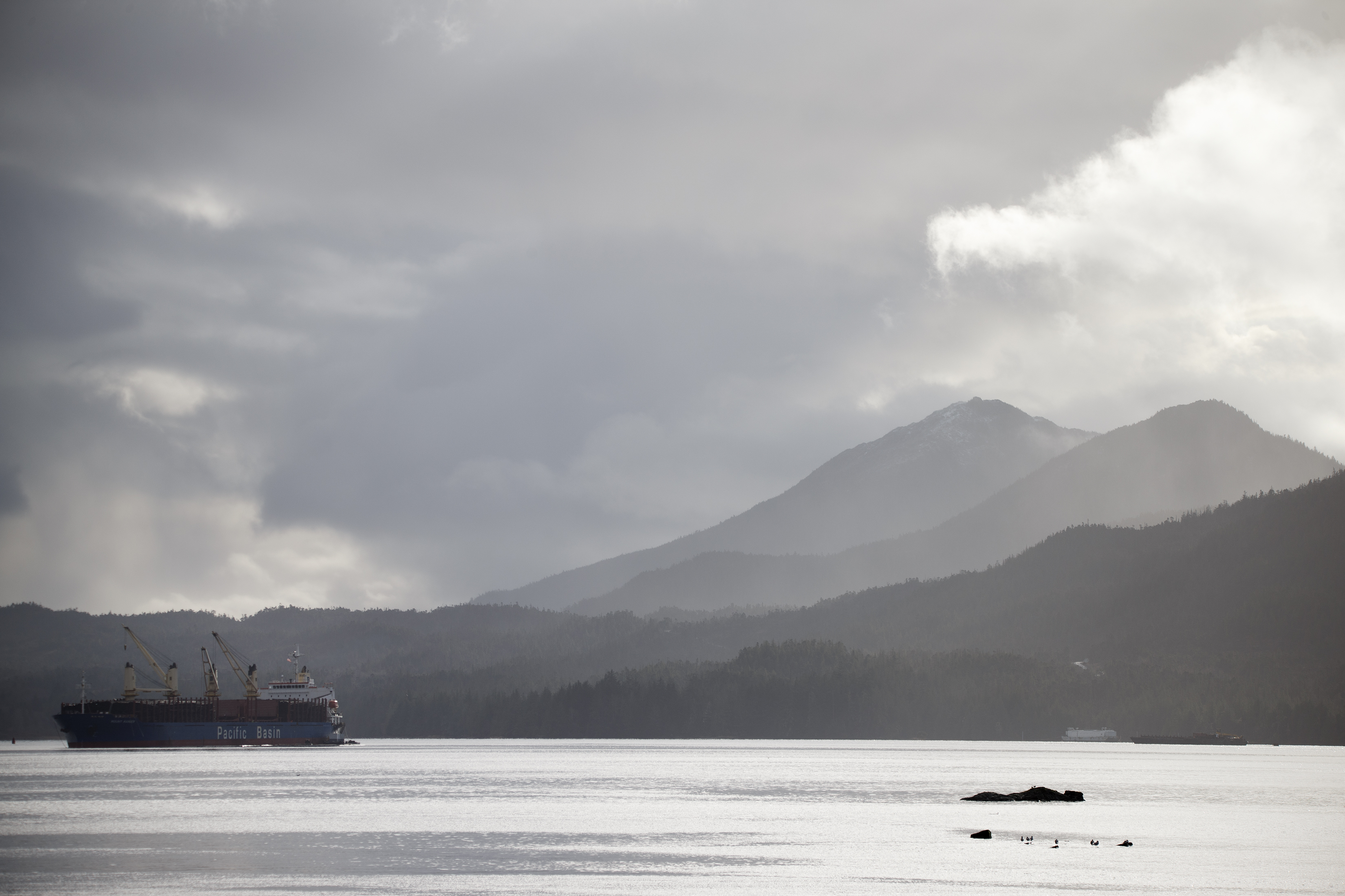 2023 11 14 Logging Boat