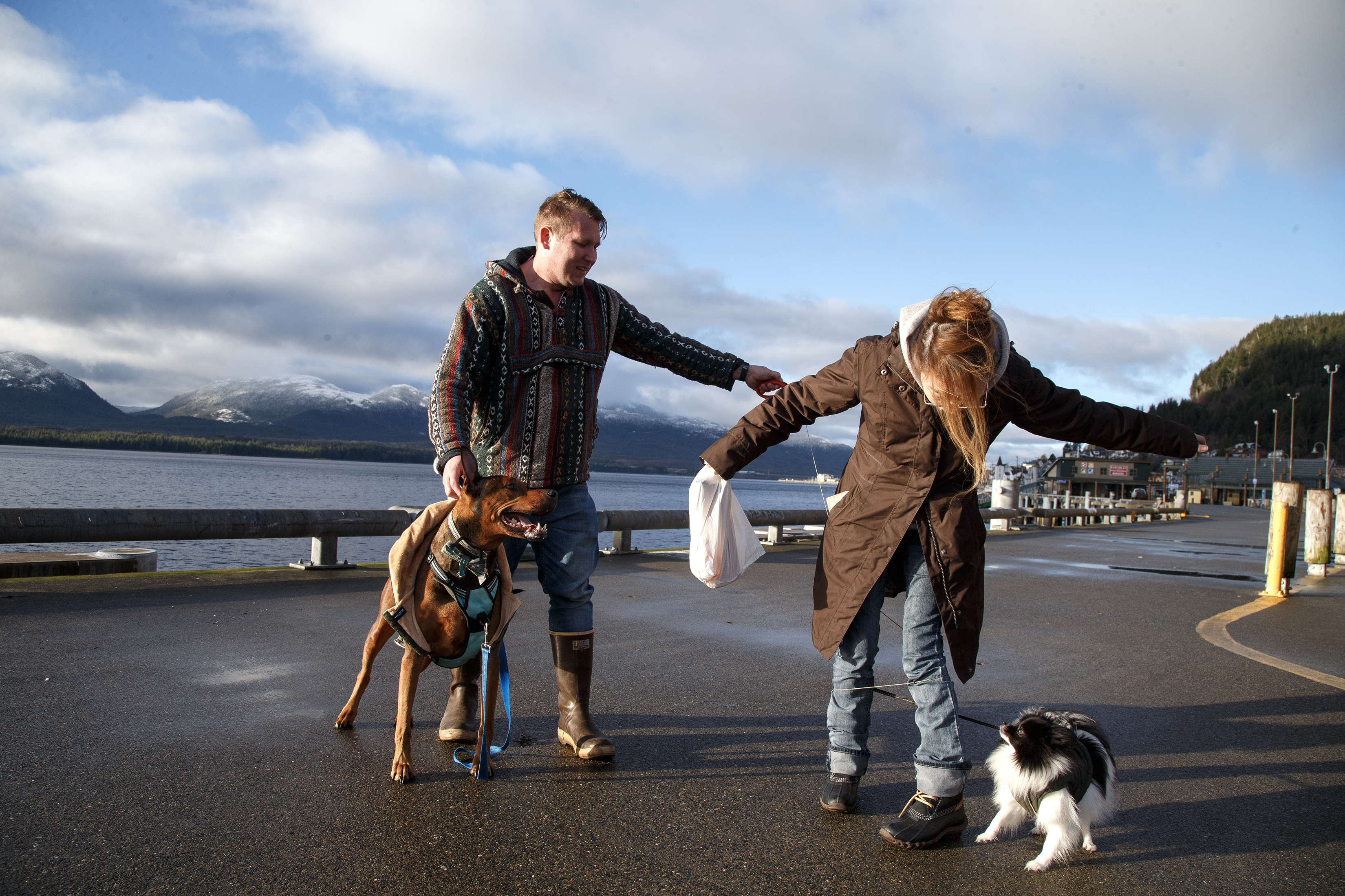 2024 01 06 Dog Walker
