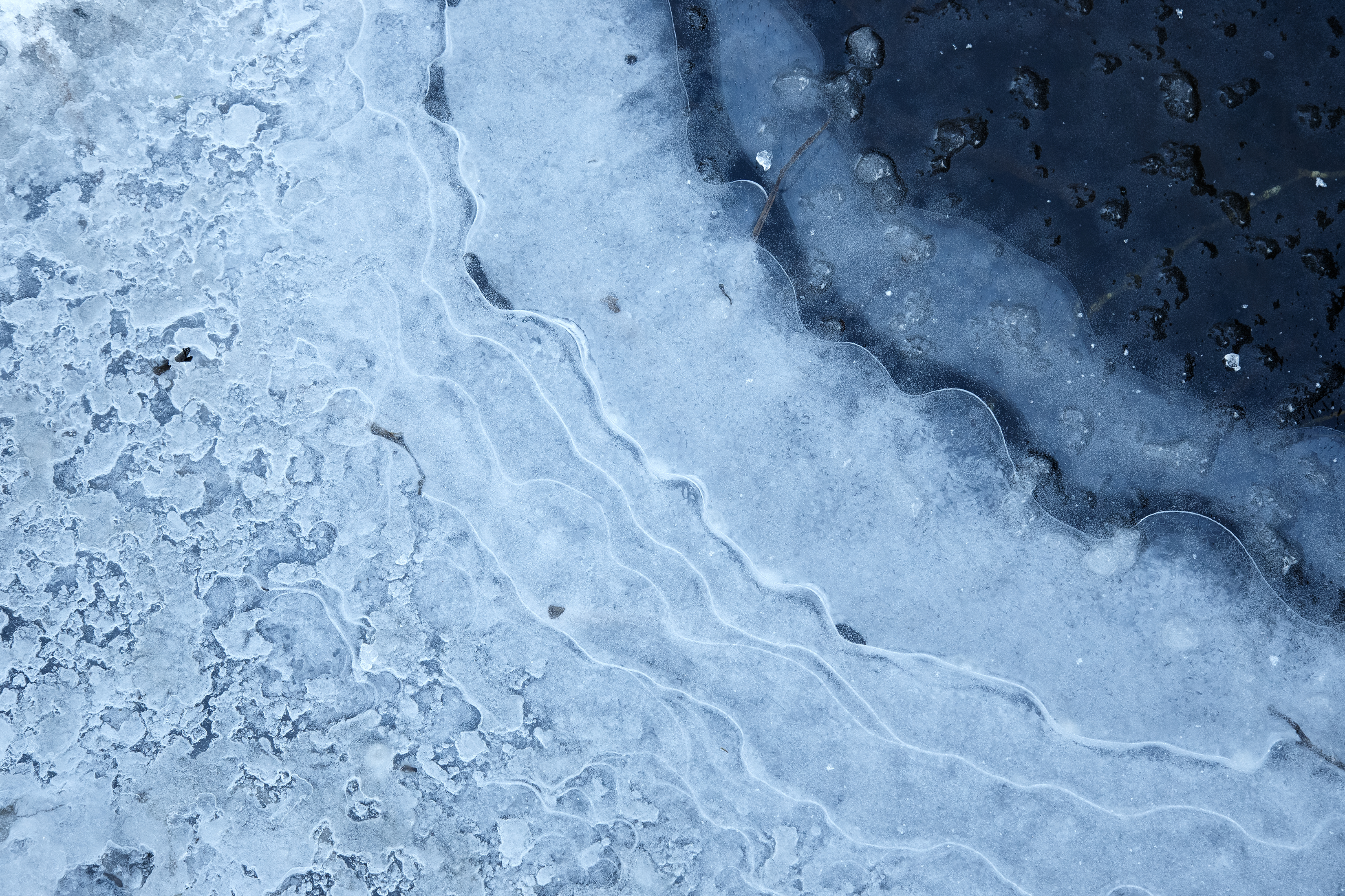 2024 01 10 Frog Pond 2