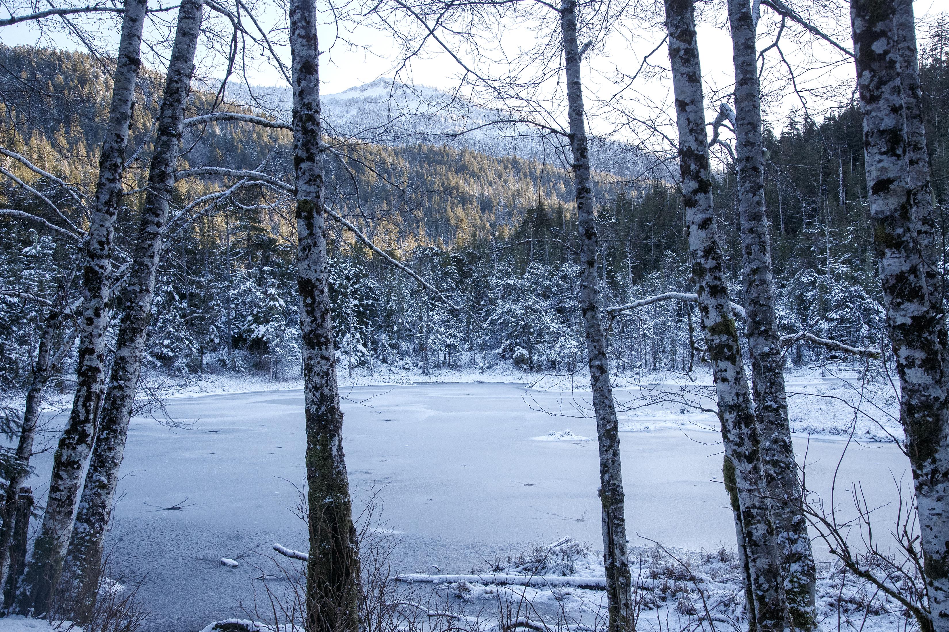 2024 01 10 Frog Pond 3