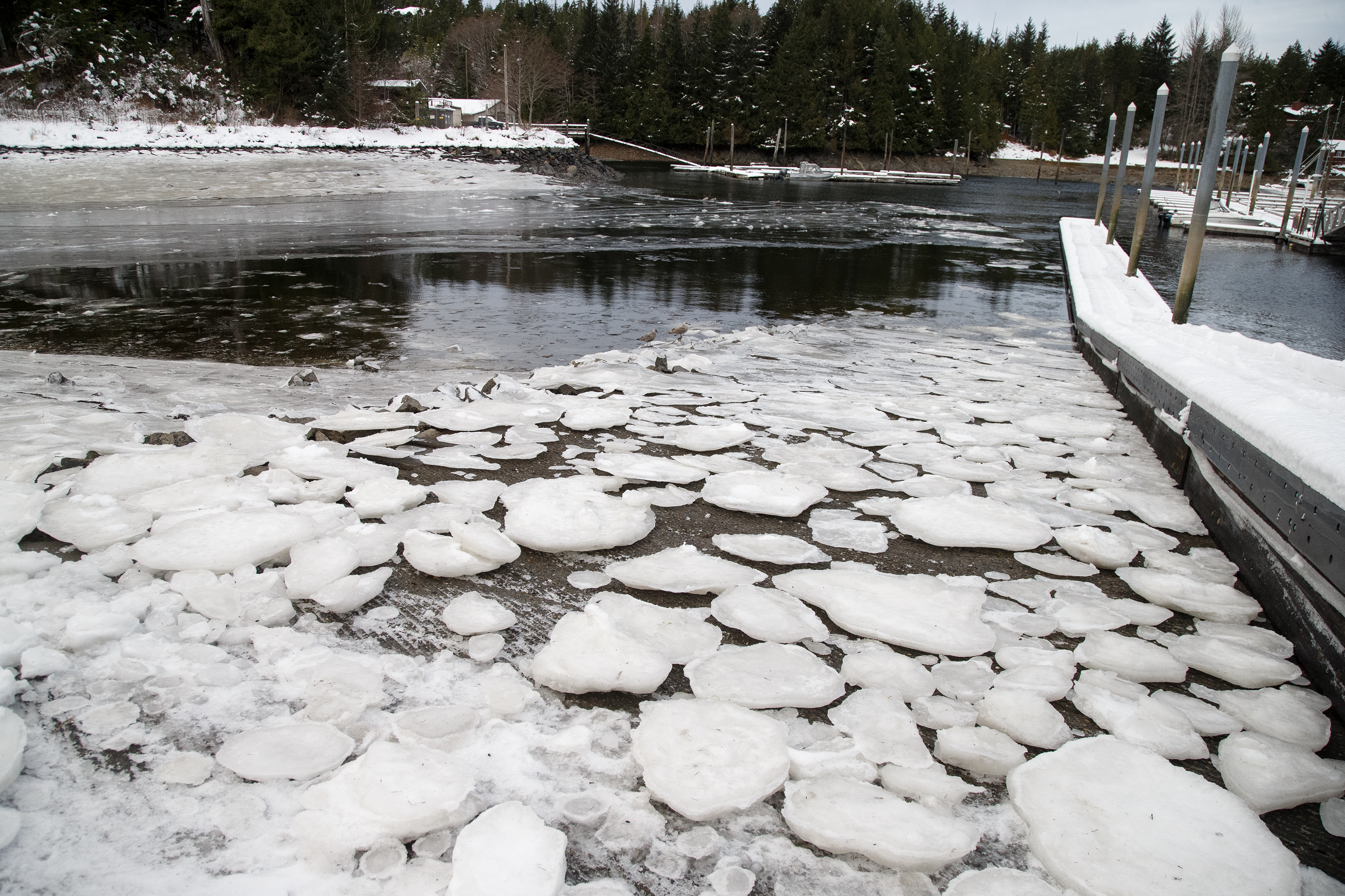 2024 01 18 Knudson Cove Ice