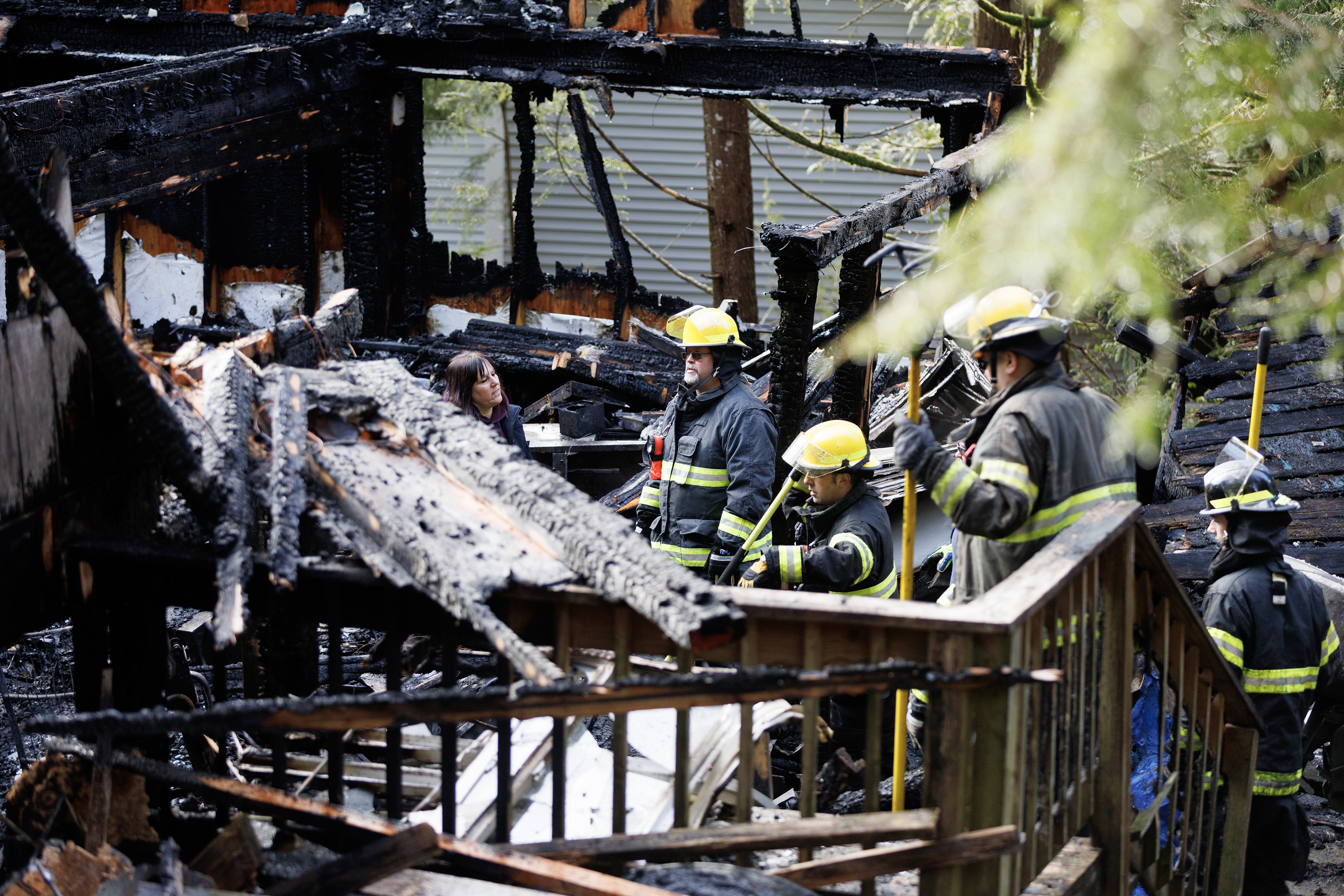 2024 02 08 Mountain Ash Fire 2