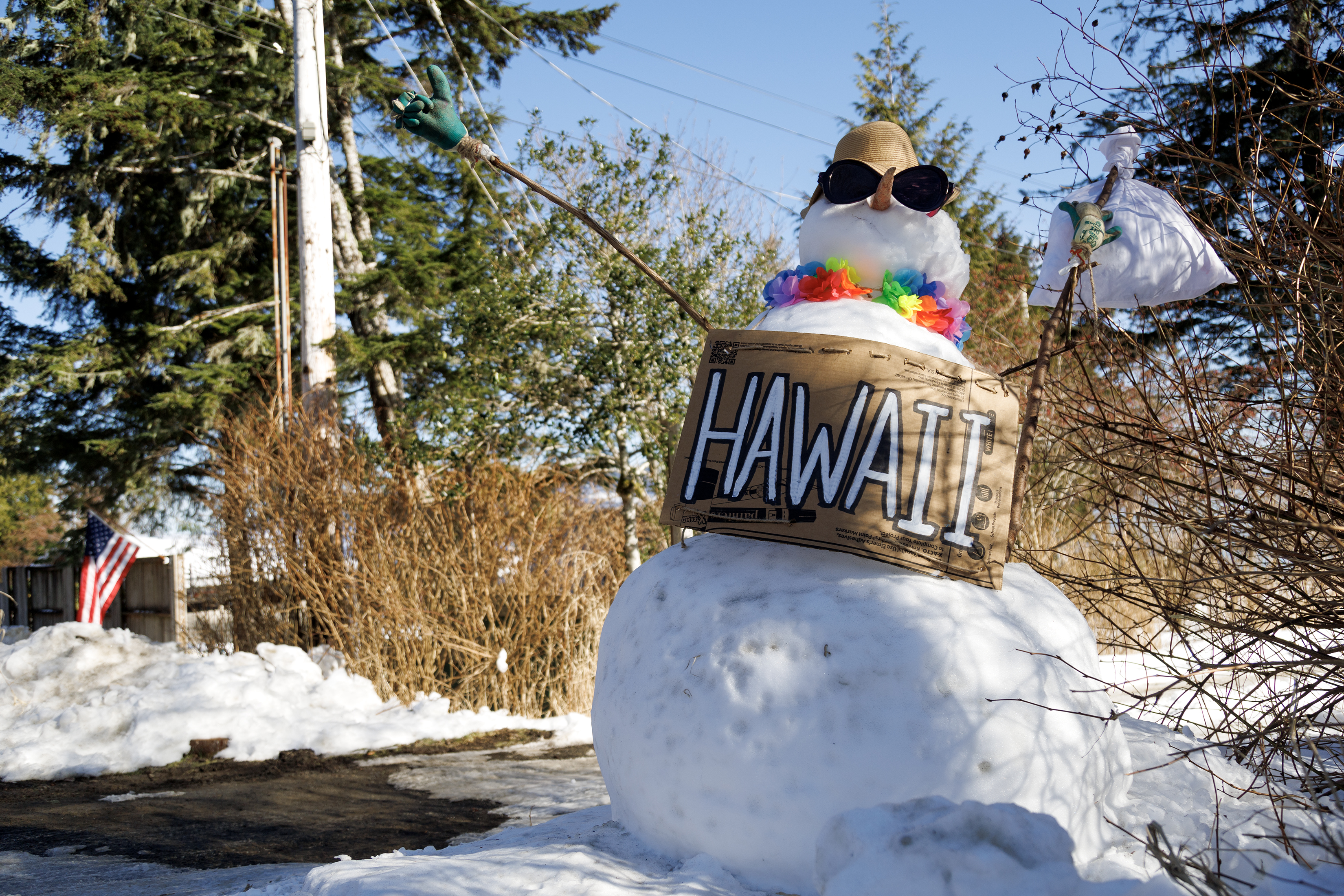 2024 03 05 Hawaii or Bust