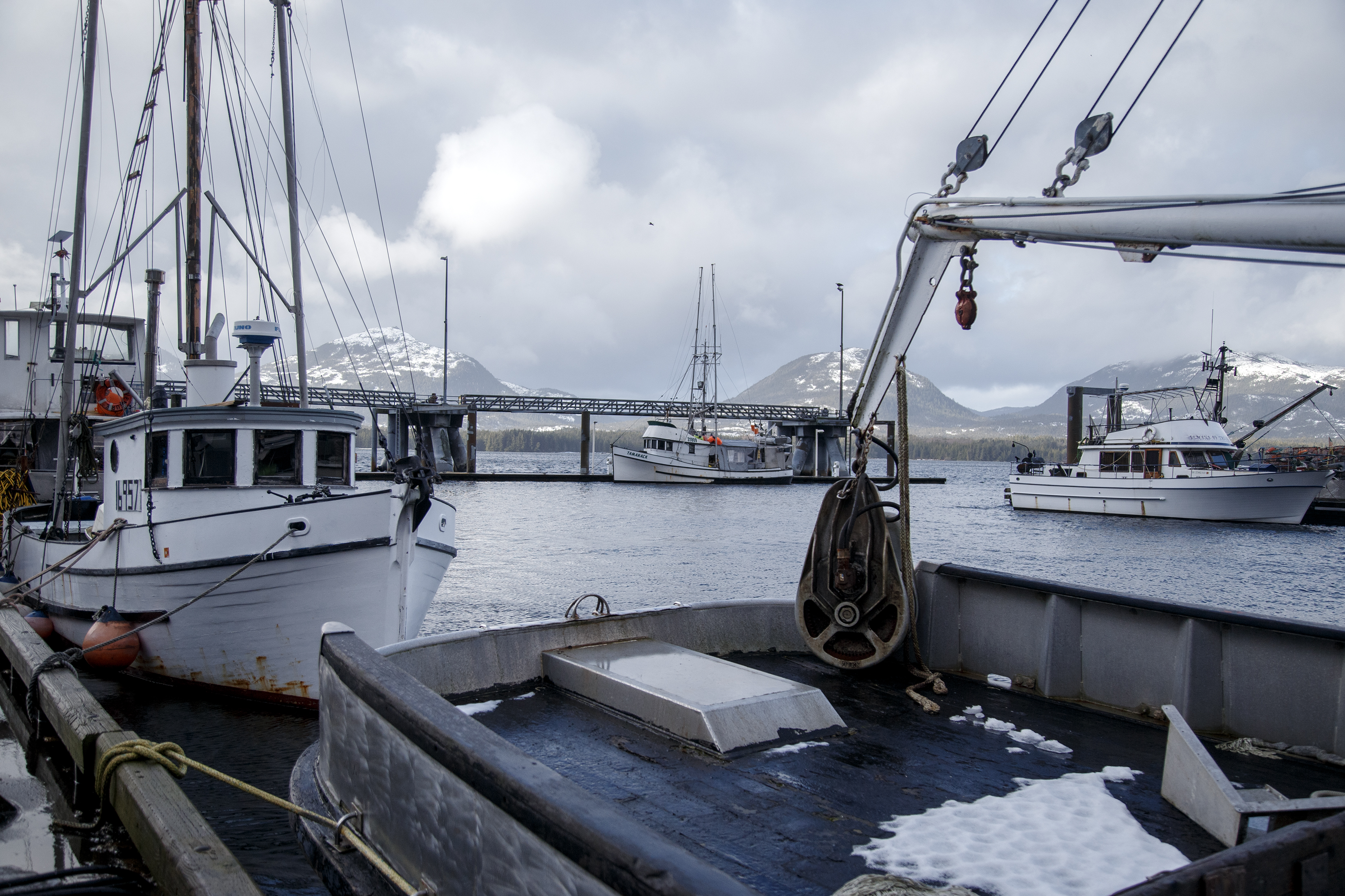 2024 03 08 Casey Moran Harbor