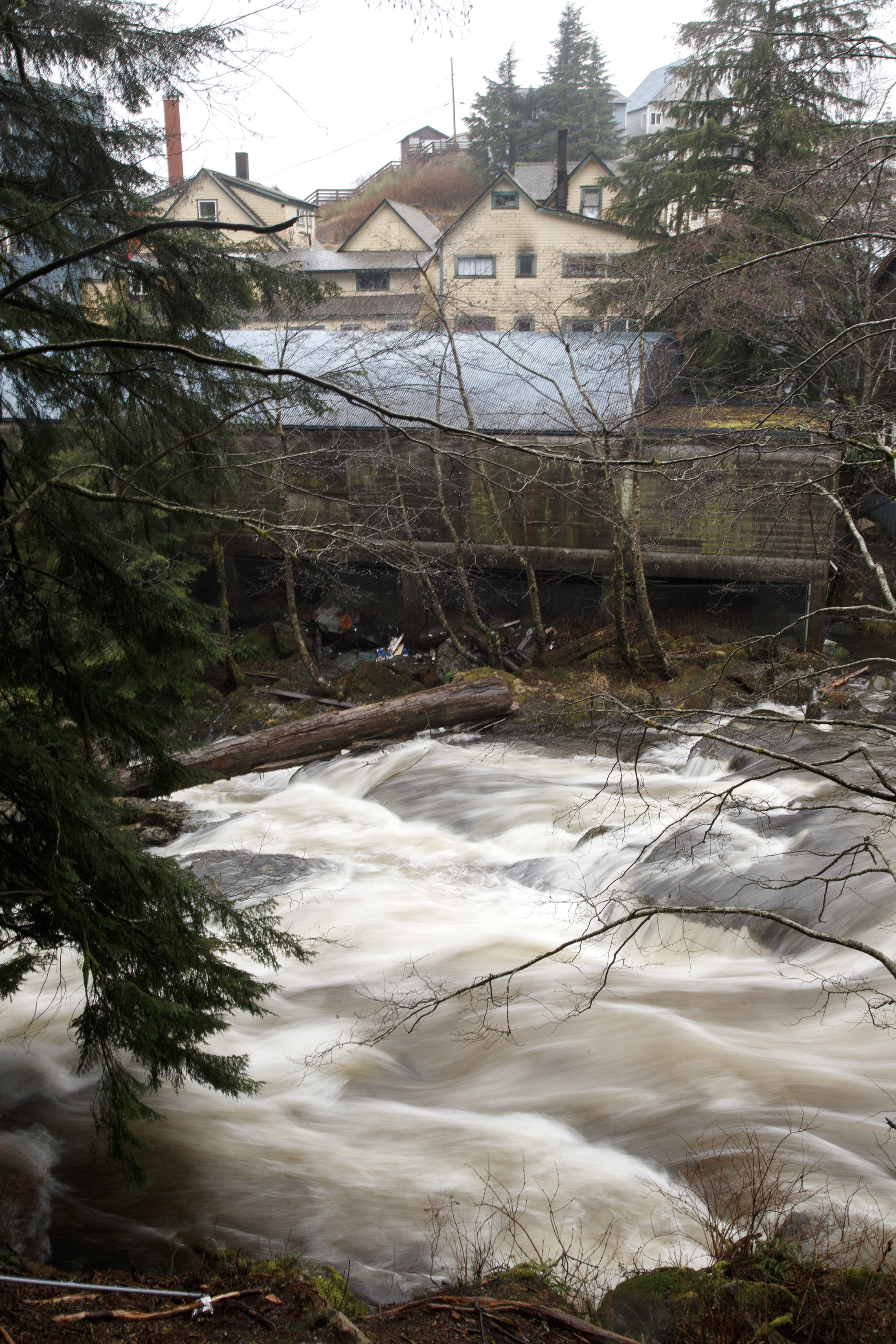 2024 03 14 Ketchikan Creek
