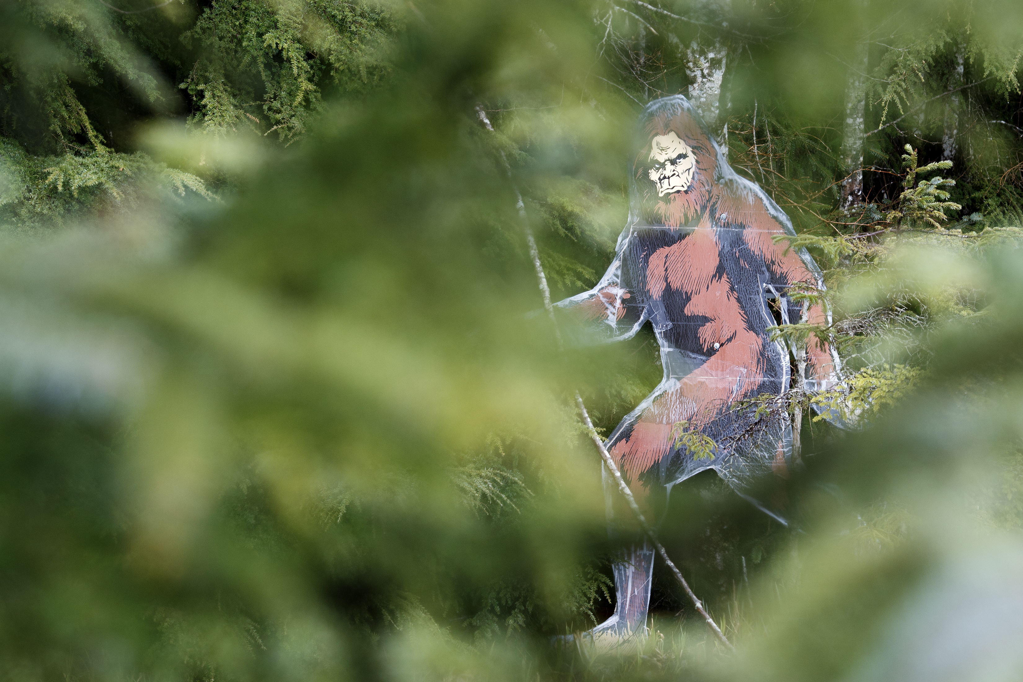 2024 04 10 Big Foot