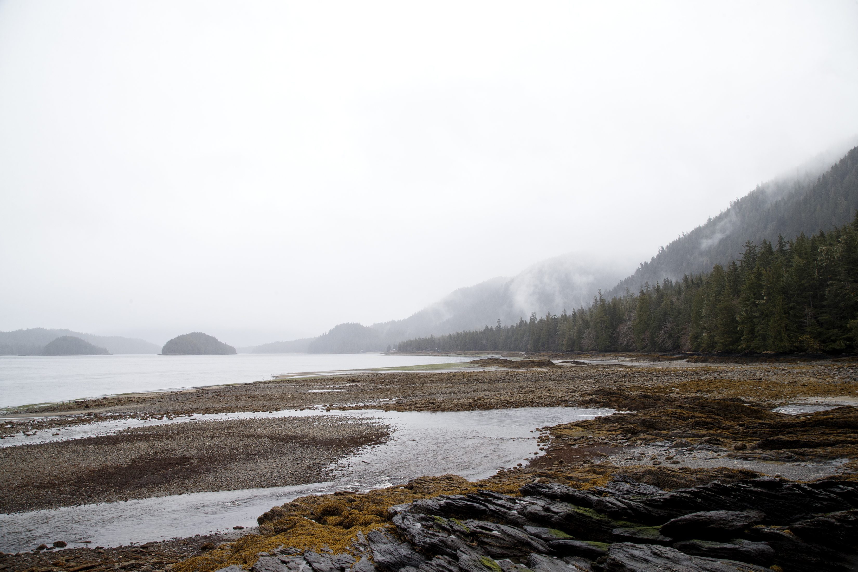 2024 04 10 Low Tide 3