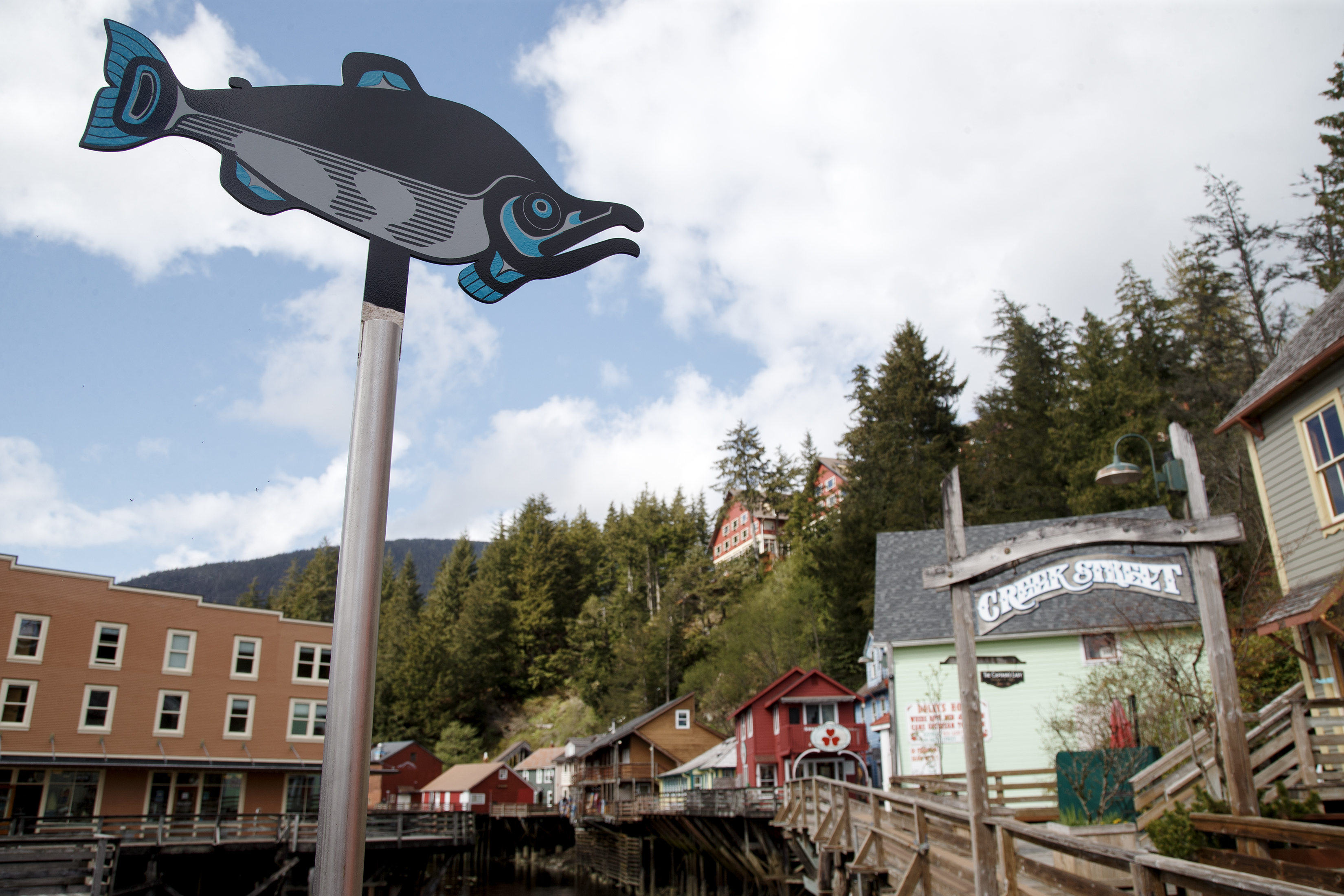 2024 05 01 Salmon Walk 1