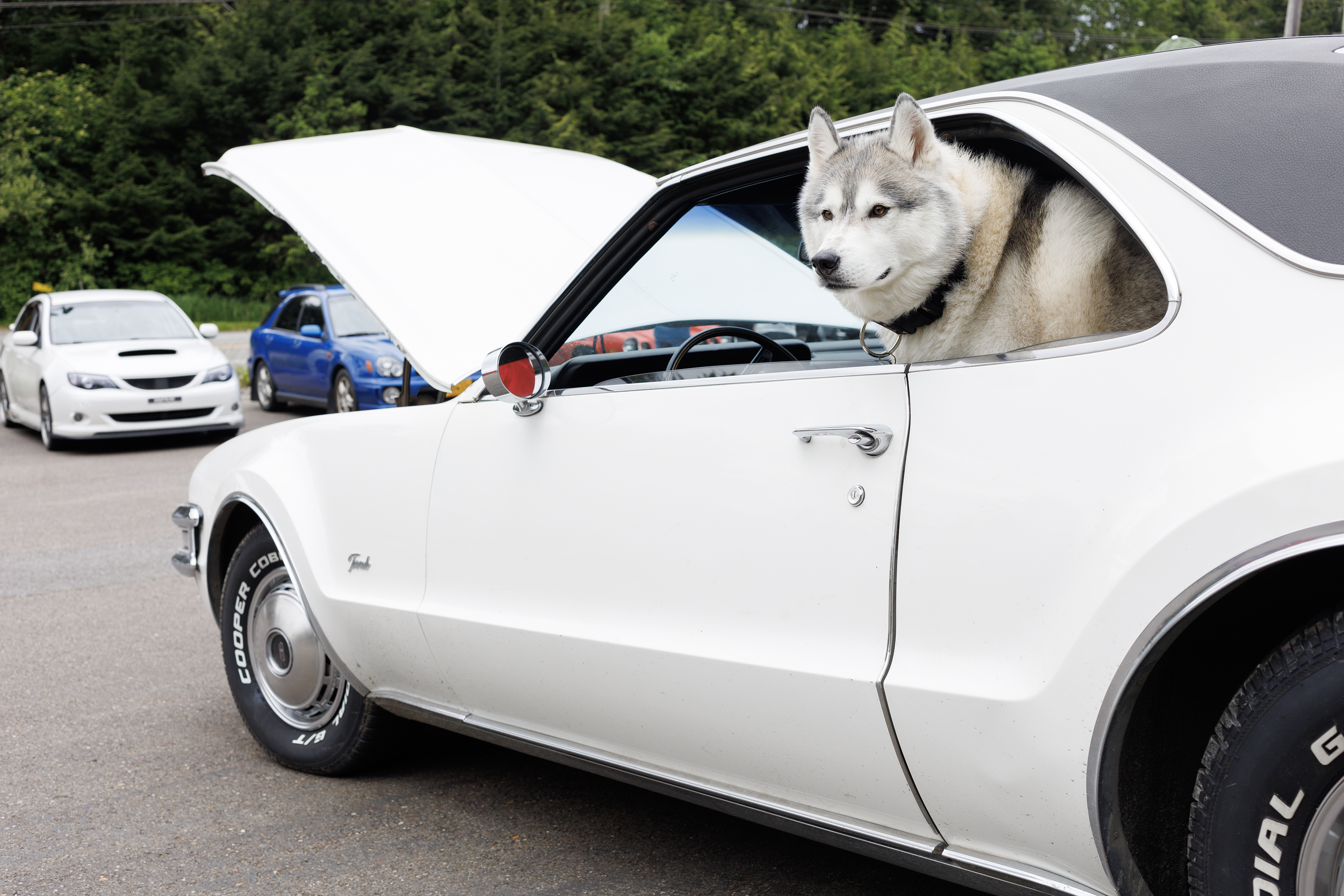 2024 06 08 Car Show 3