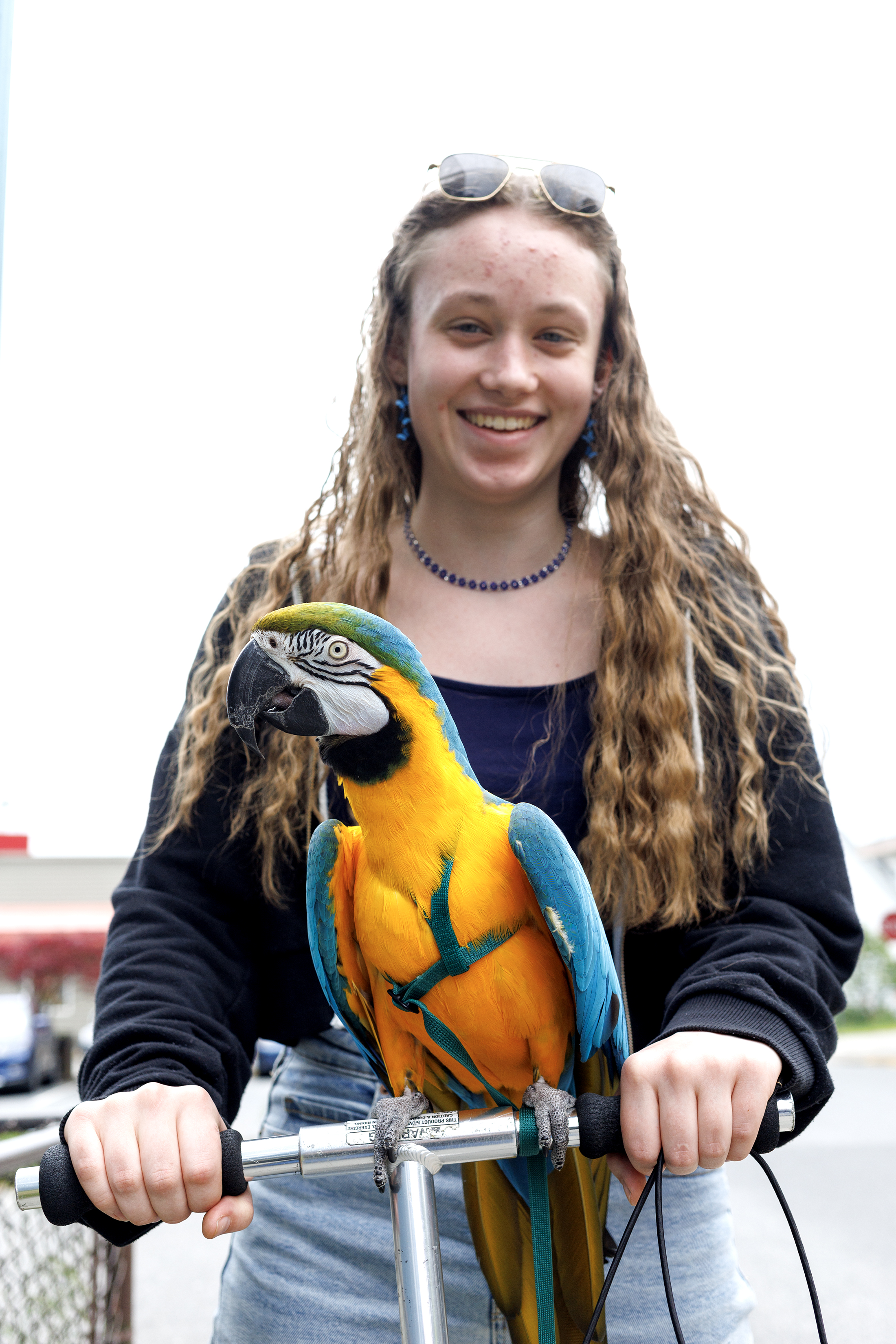 2024 06 08 Macaw