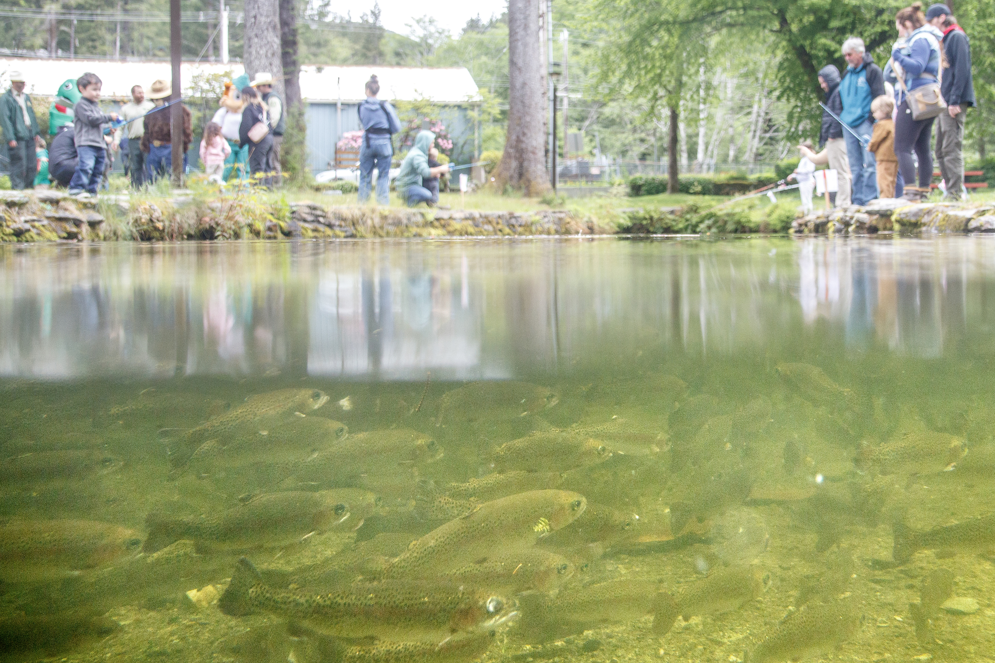 2024 06 15 Fish Derby 2