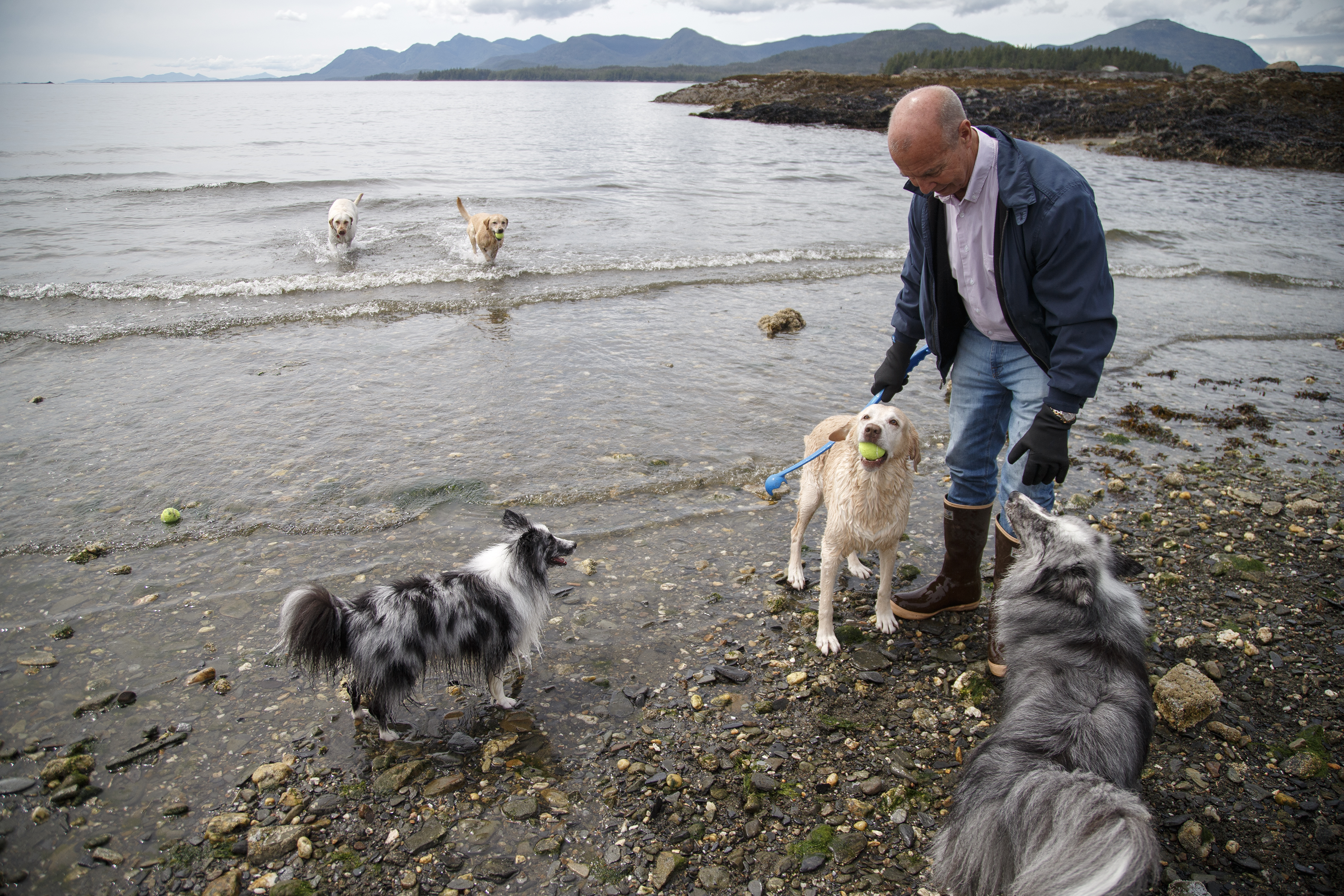 2024 06 25 Five Dog Fetch
