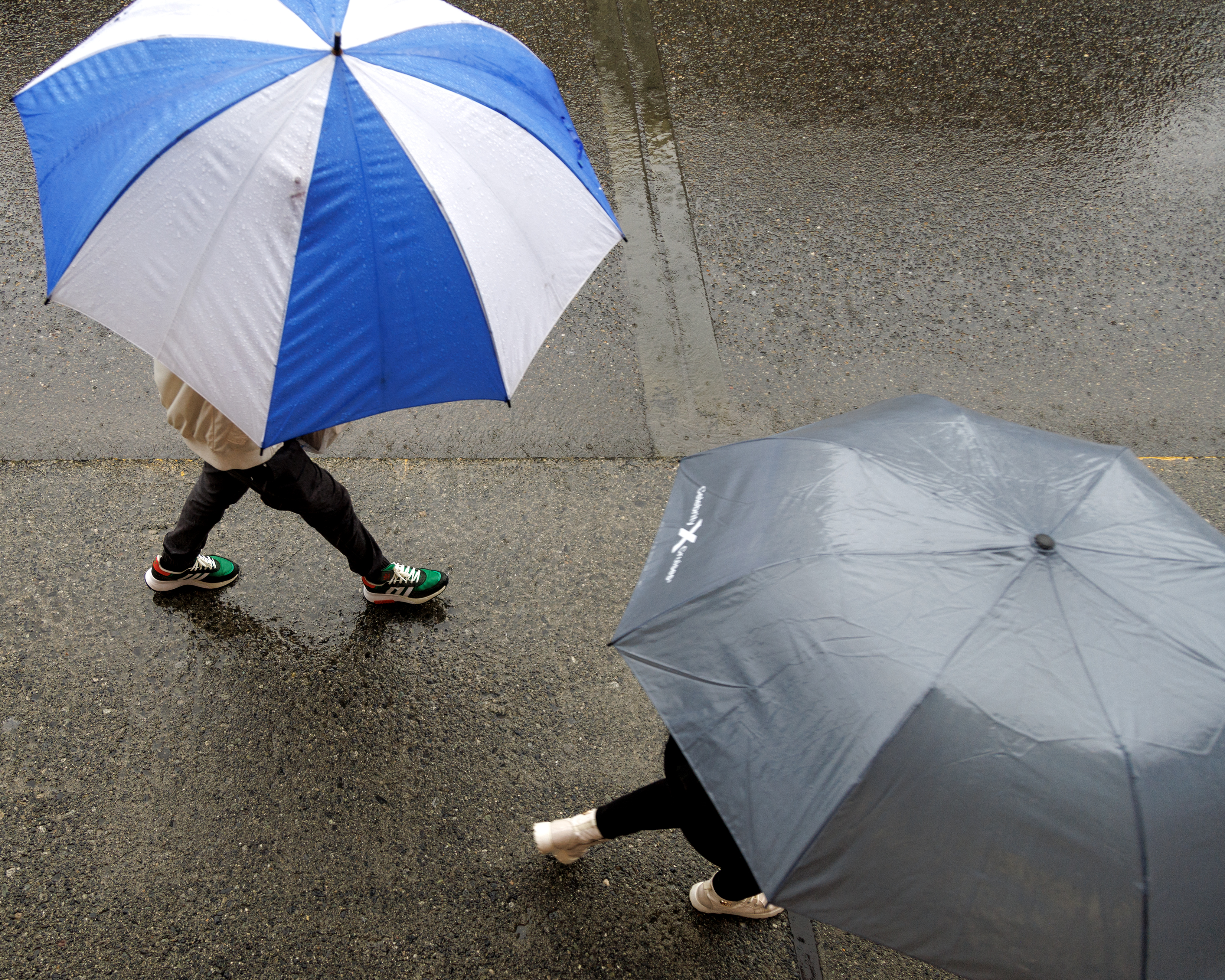 2024 07 17 Under My Umbrella 3