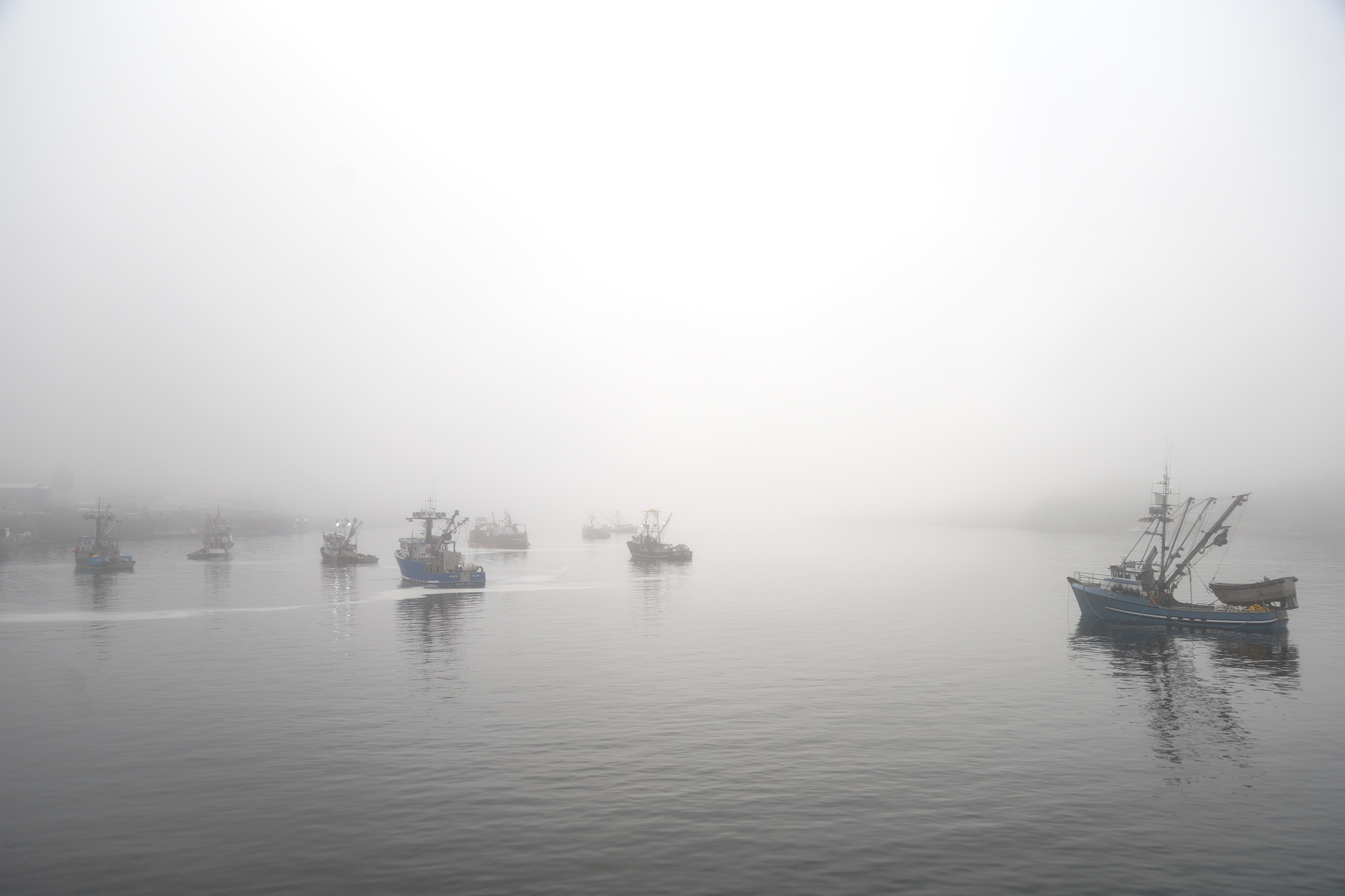 2024 08 06 Fog 2