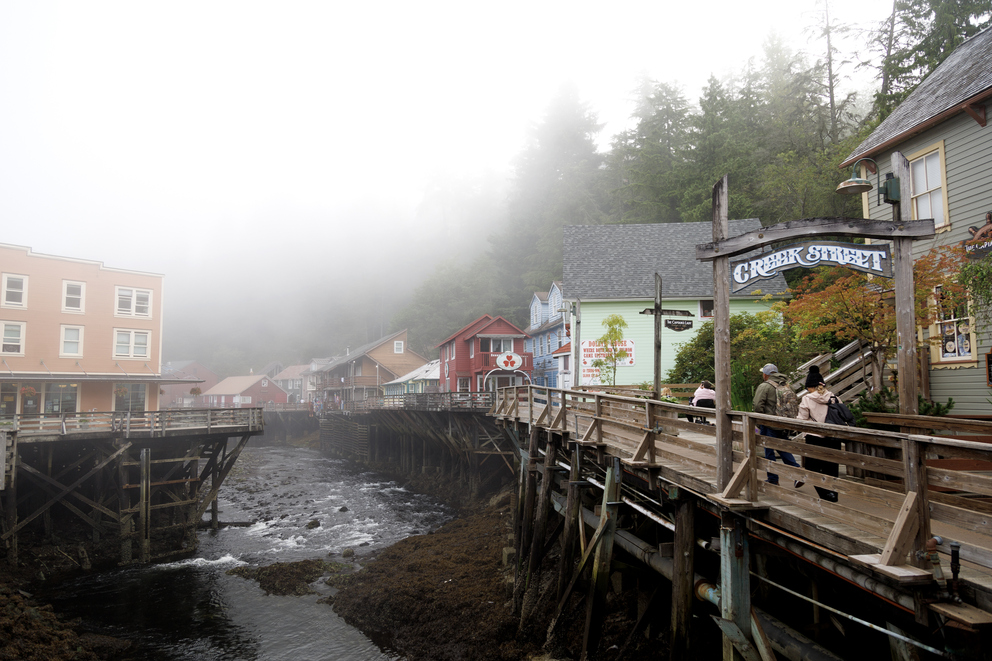 2024 08 06 Fog 3