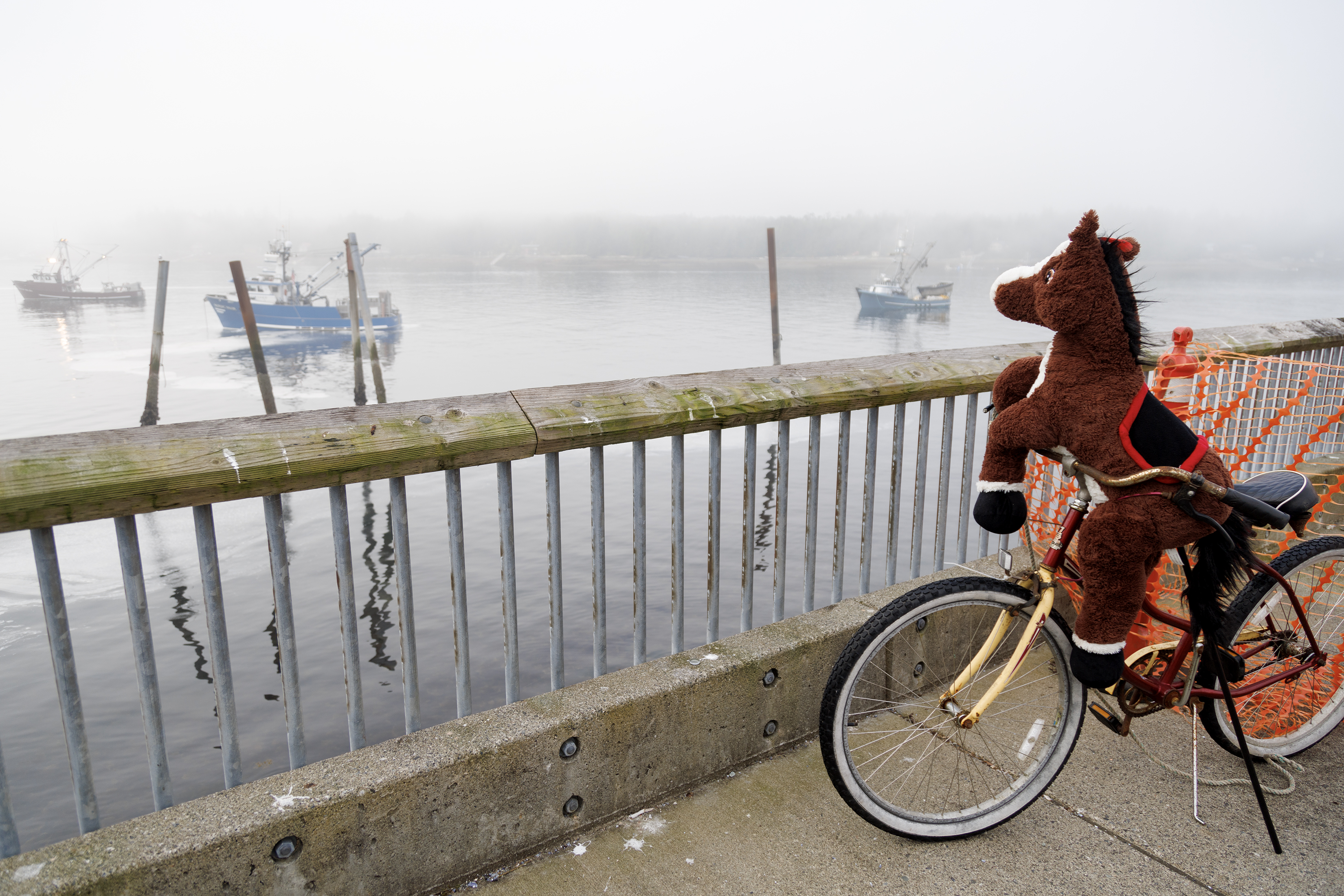2024 08 06 Sea Horse
