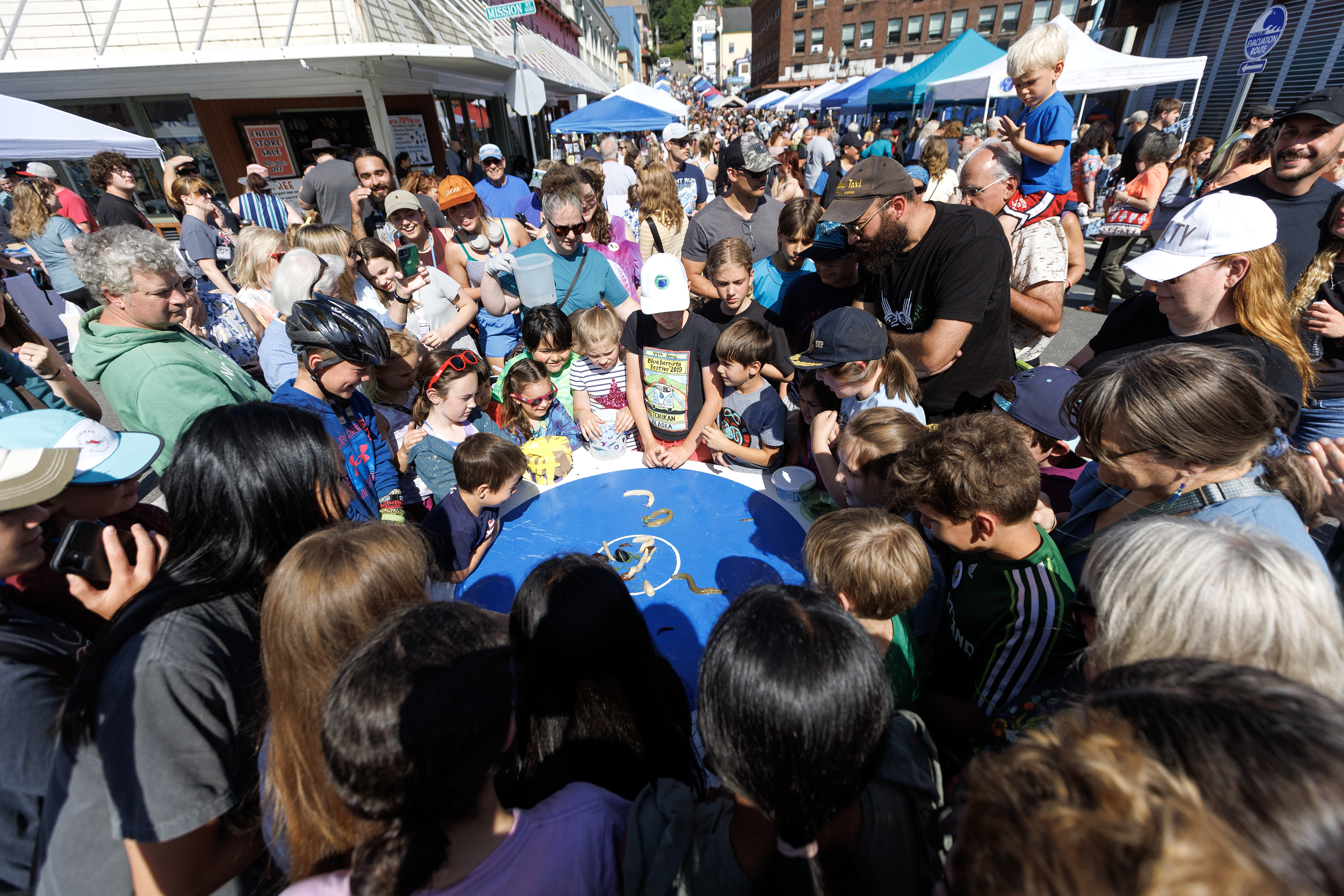 Blueberry Festival 1 2024 08 03