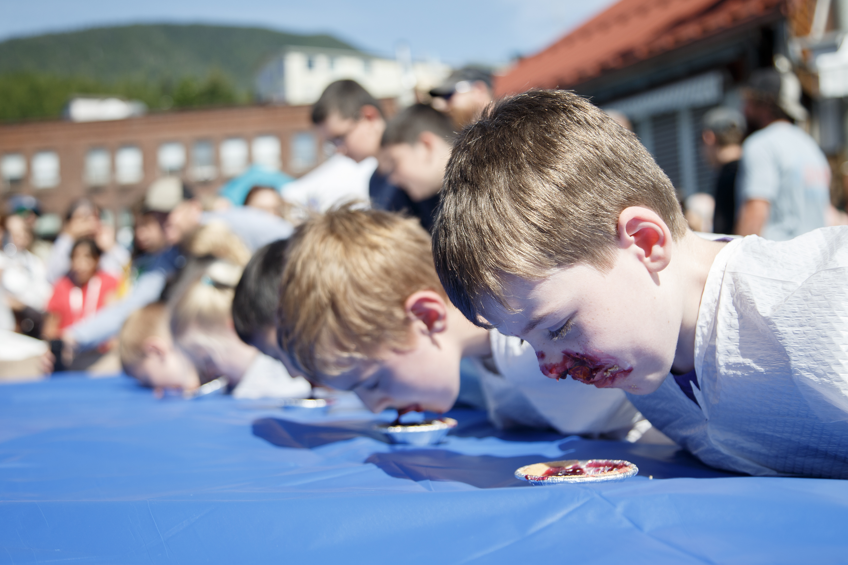 Blueberry Festival 3 2024 08 03