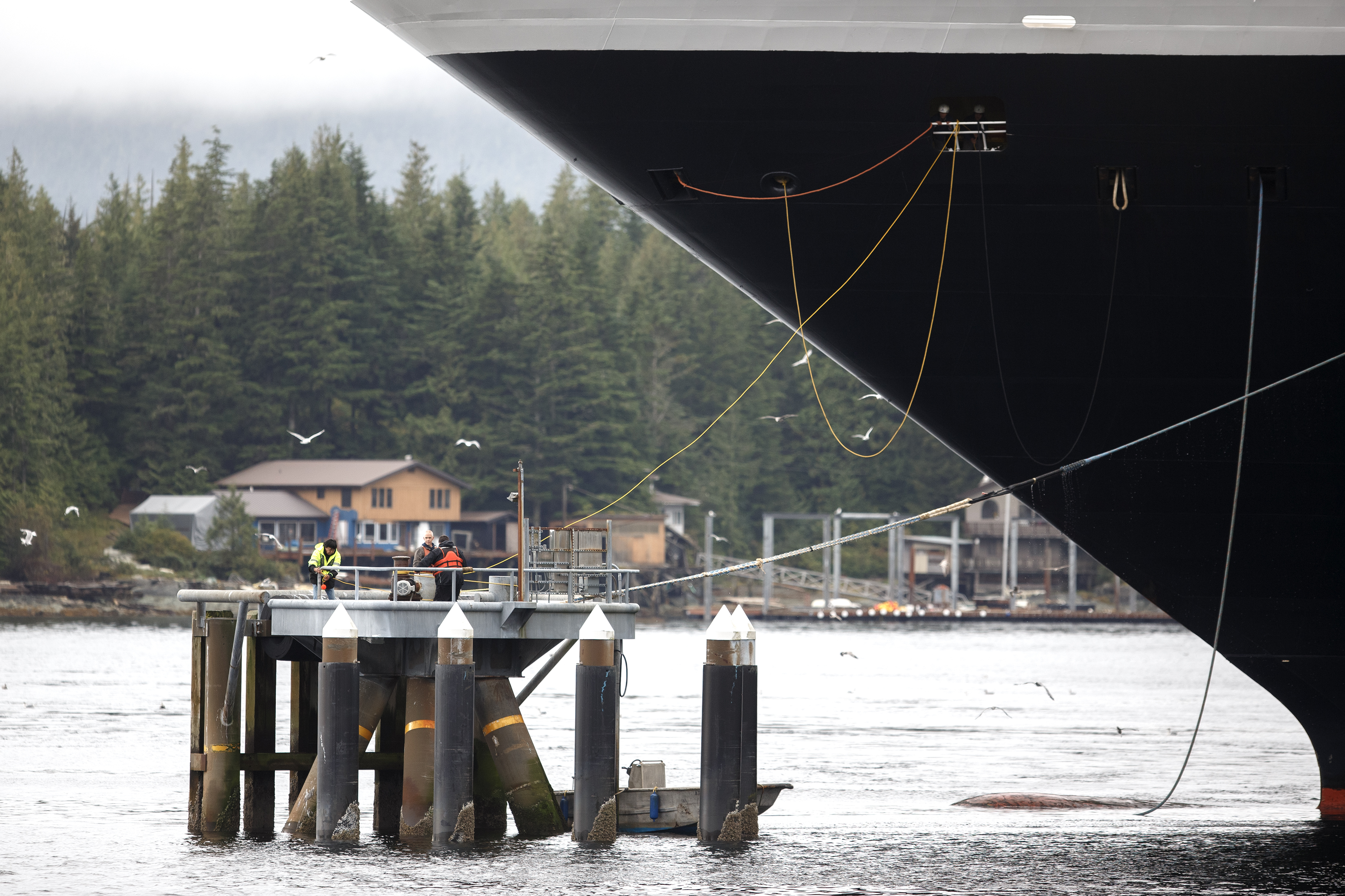 2024 09 13 Noordam Docking
