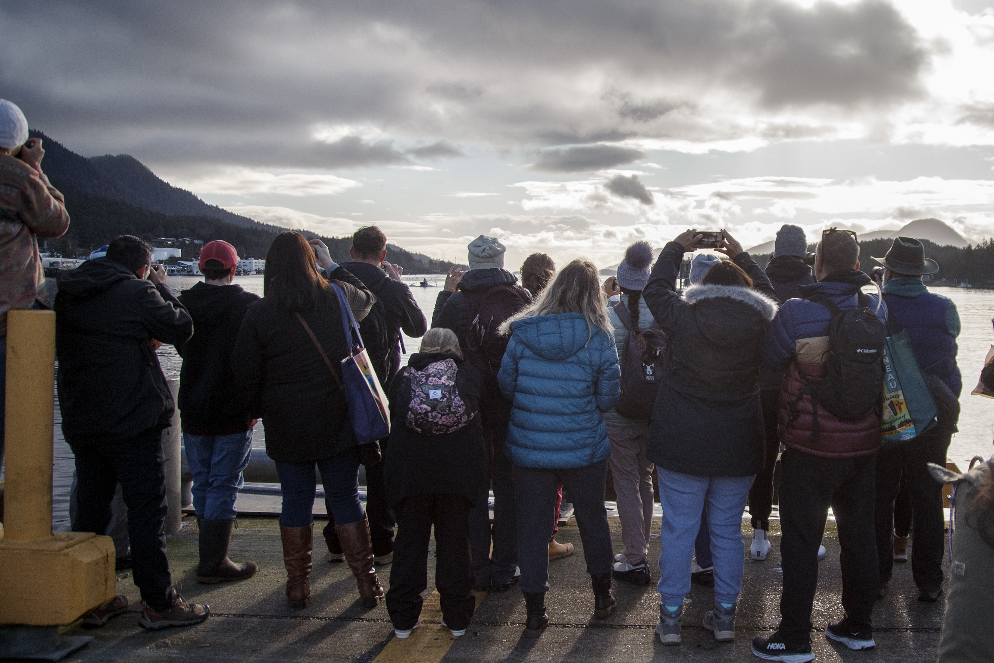 2024 10 24 Whale Watchers 2