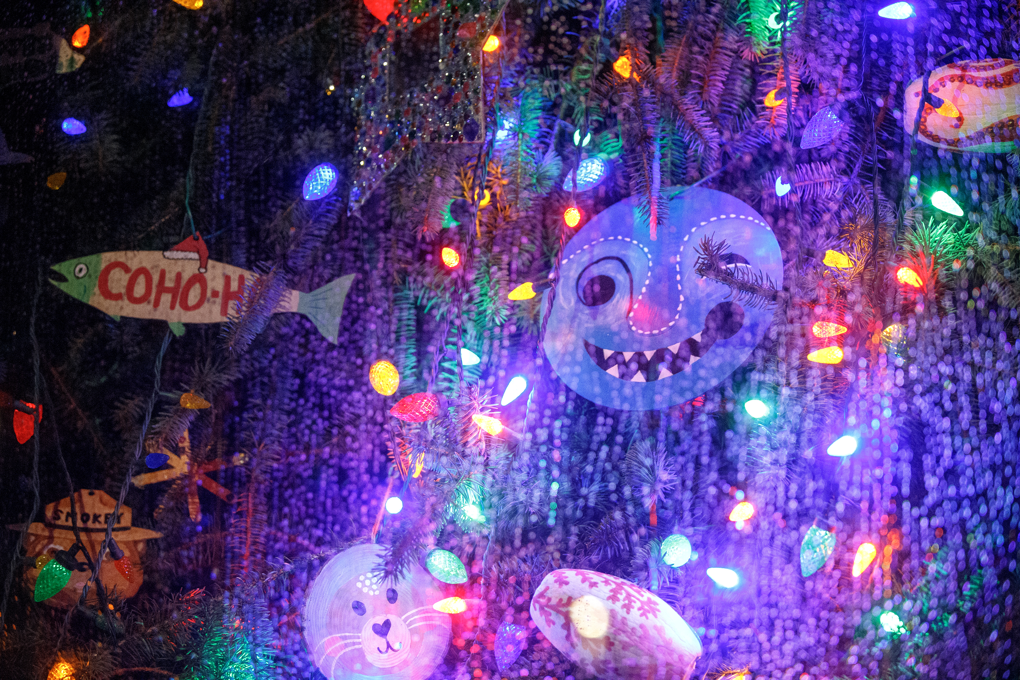 2024 10 30 Capitol Christmas 4