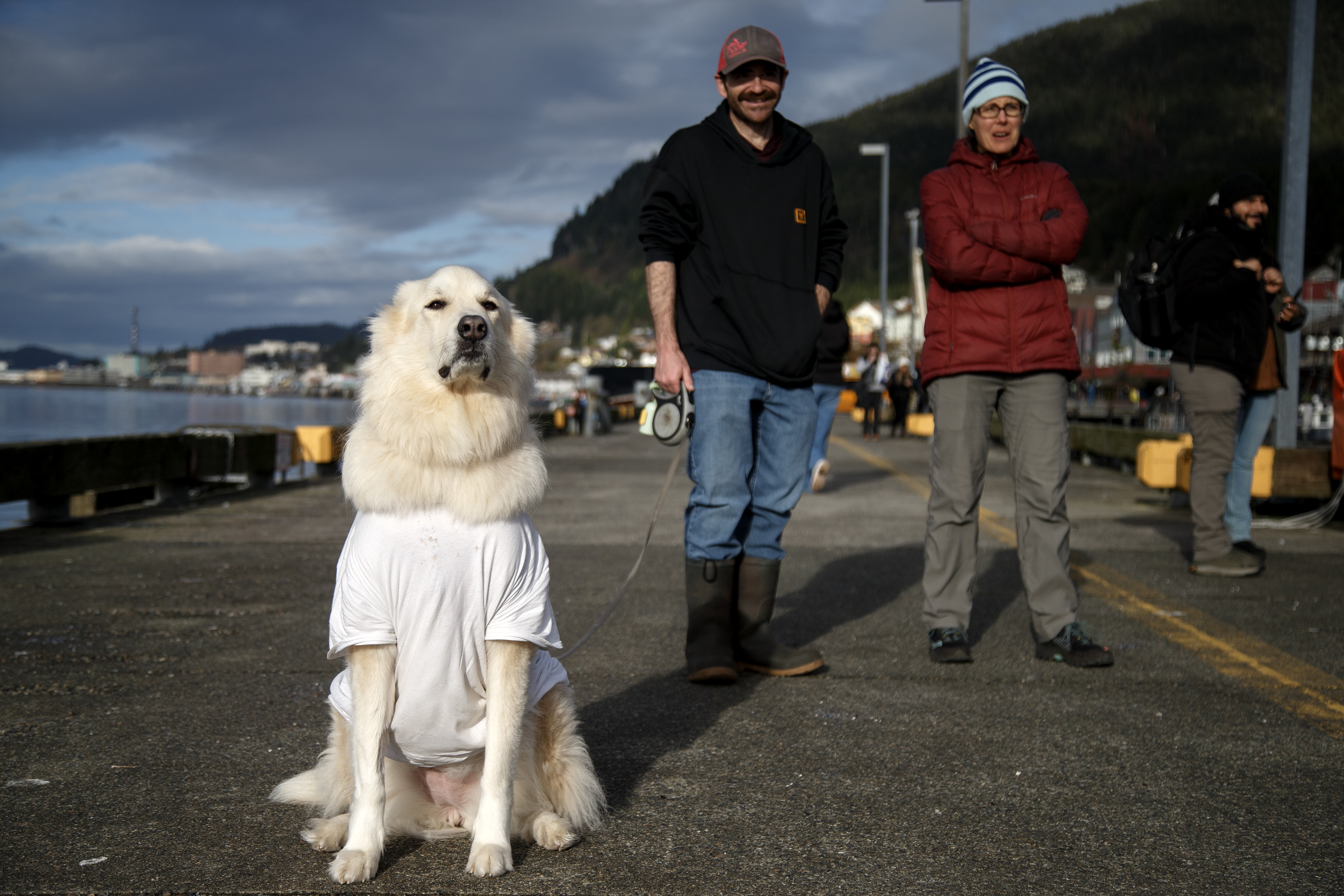 Waterfront Dogs 1 2024 10 24