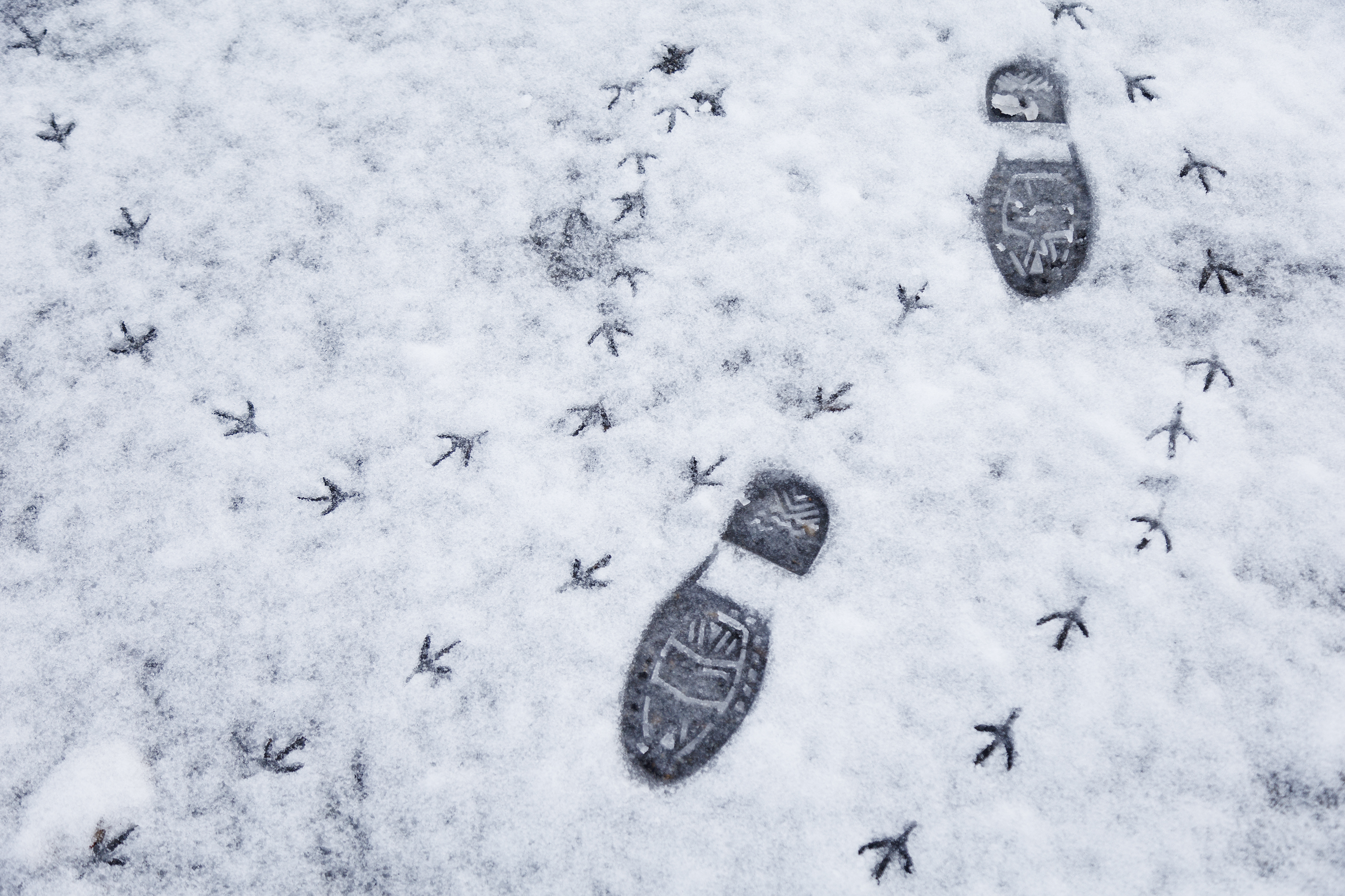 2024 11 18 Snow 3