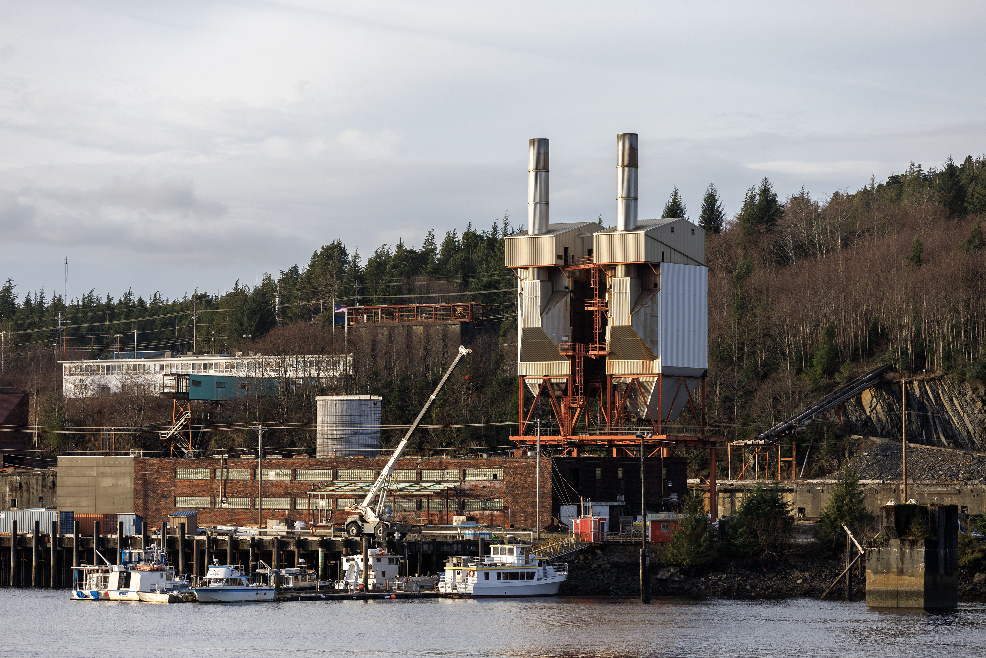 2024 12 11 Pulp Mill Sale 1
