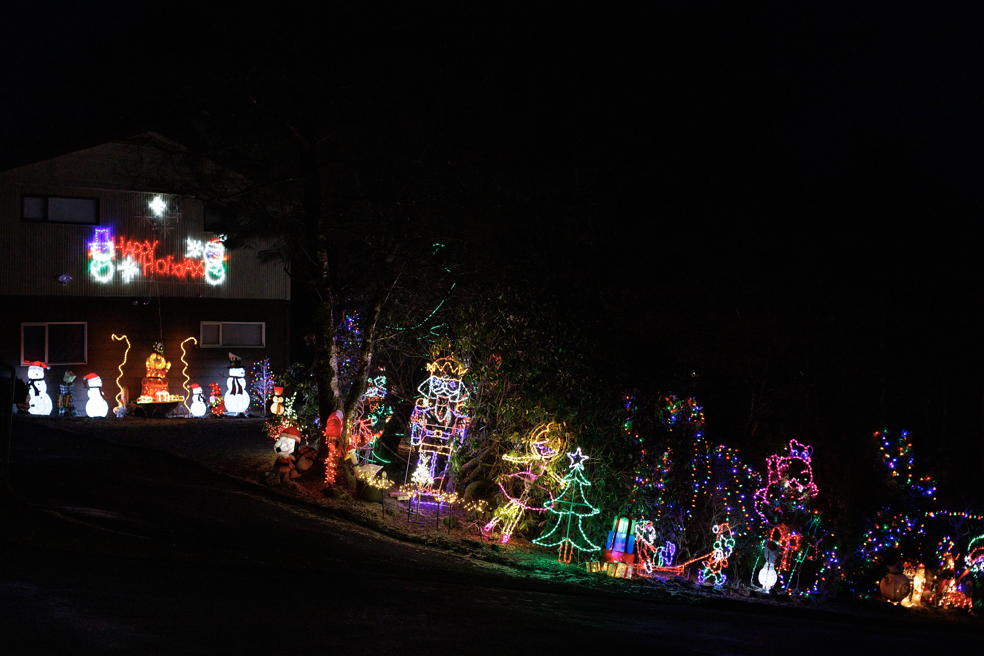 2024 12 17 Christmas Lights 3