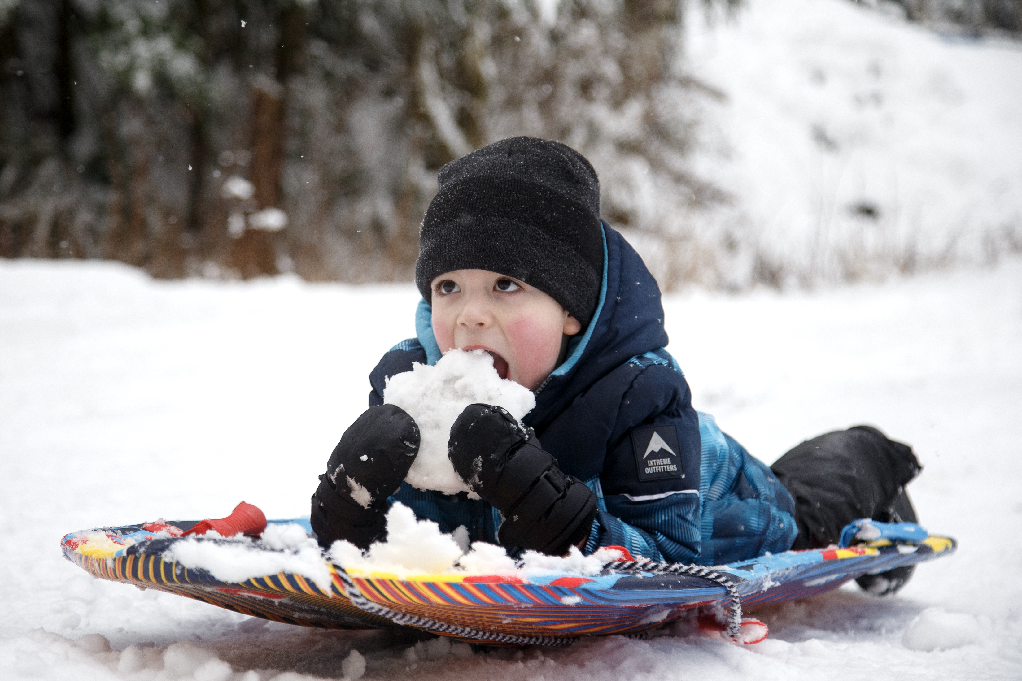2025 01 03 Snow Fun 1
