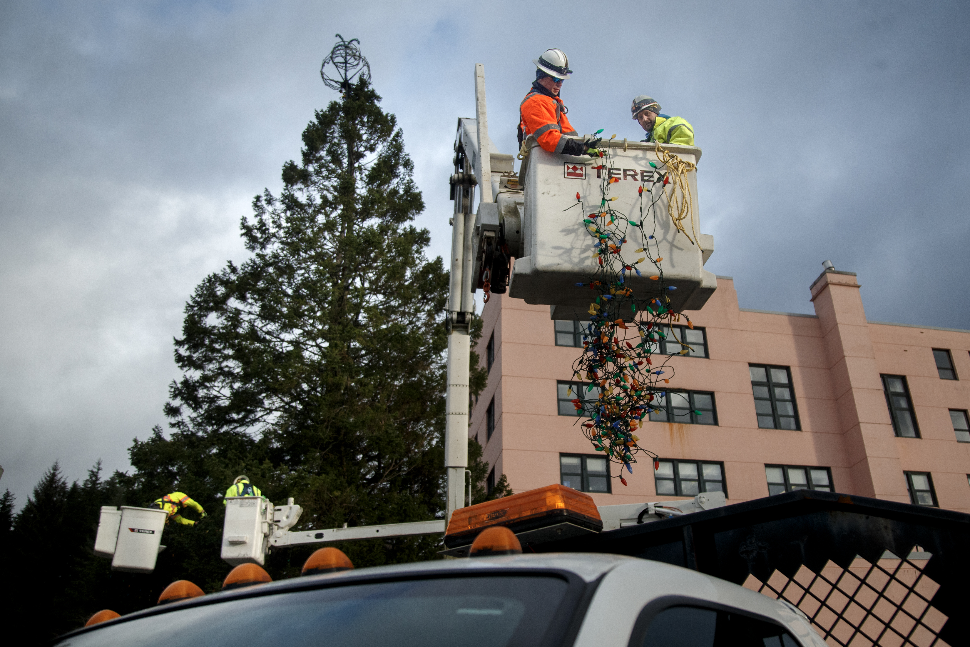 2025 01 16 Christmas Light Removal 1