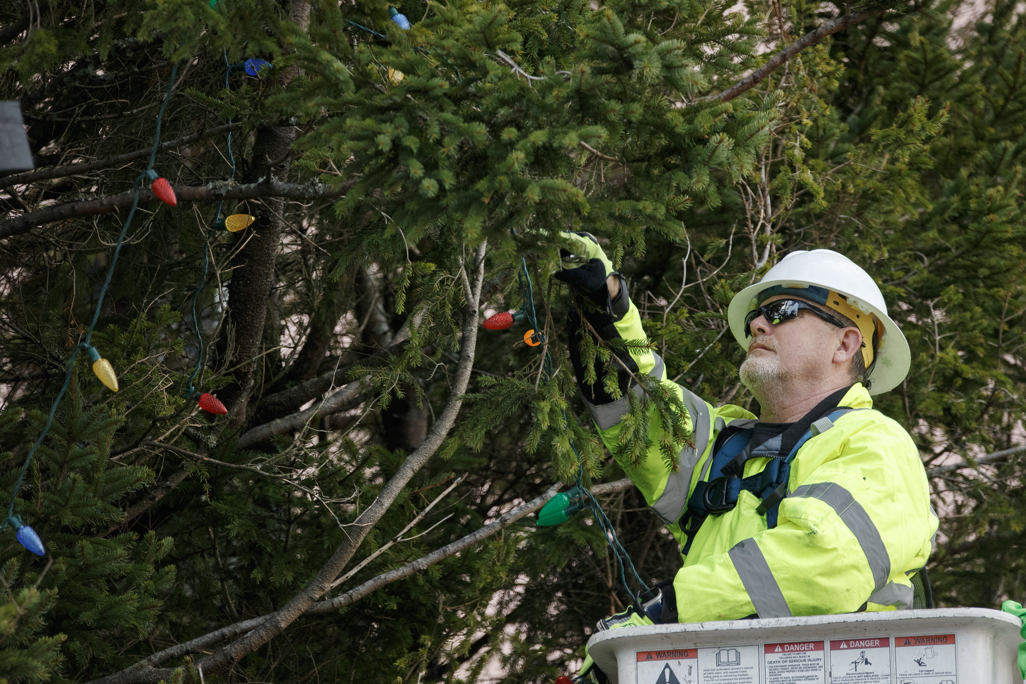 2025 01 16 Christmas Light Removal 3