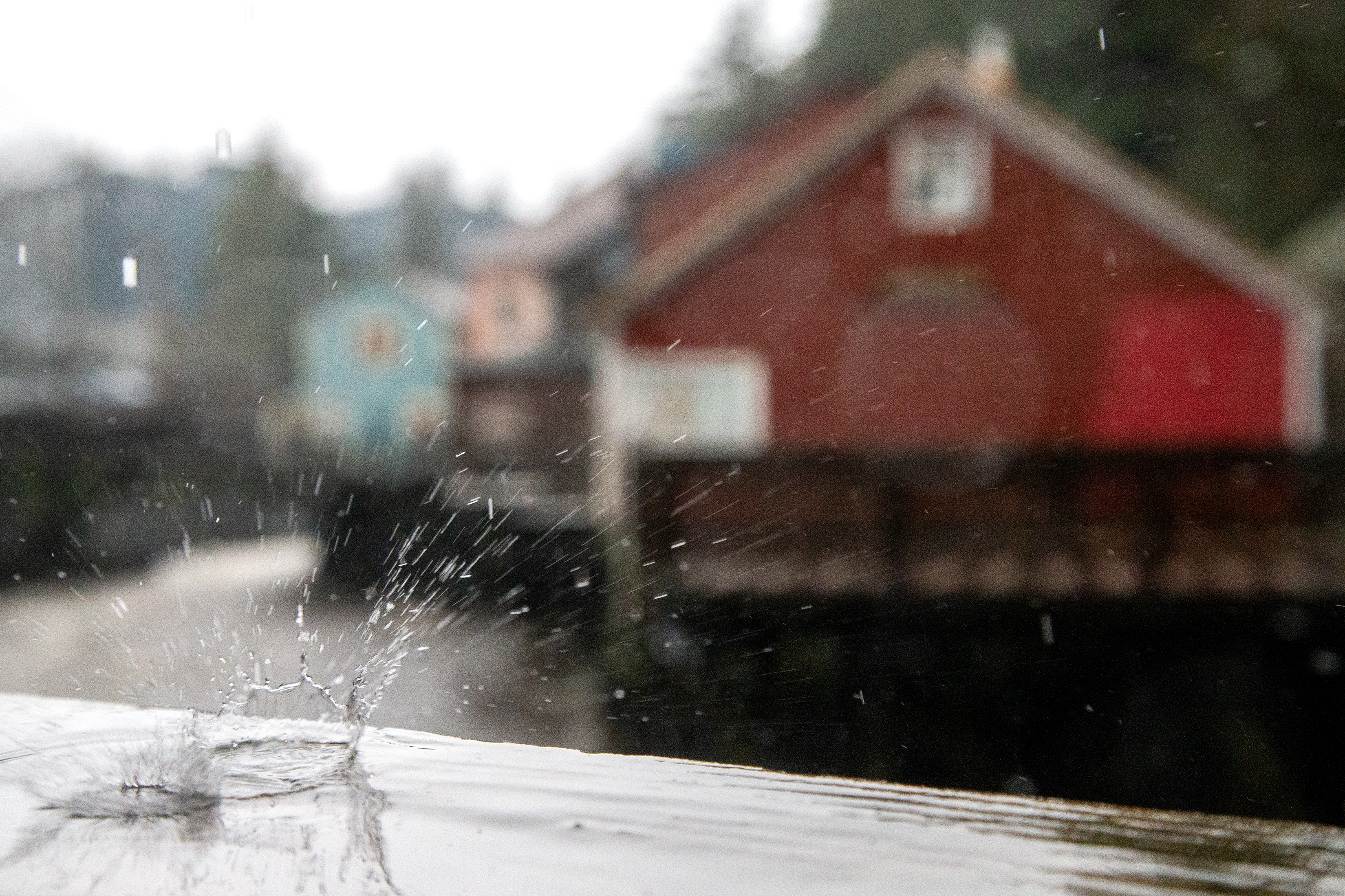 2025 01 22 Rain Drops 1