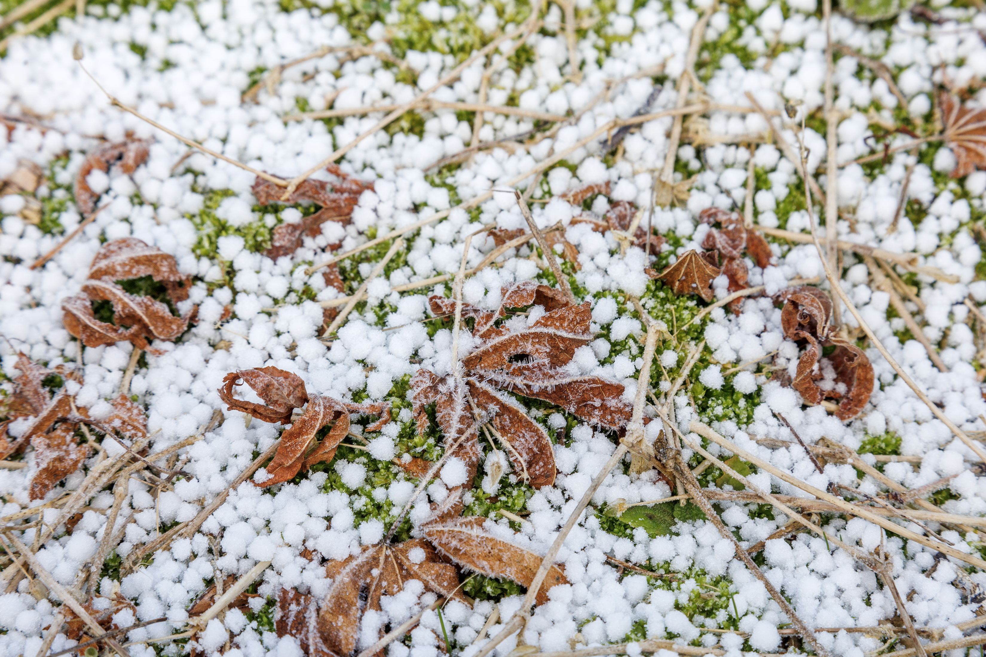 2025 01 30 Icy Conditions 2