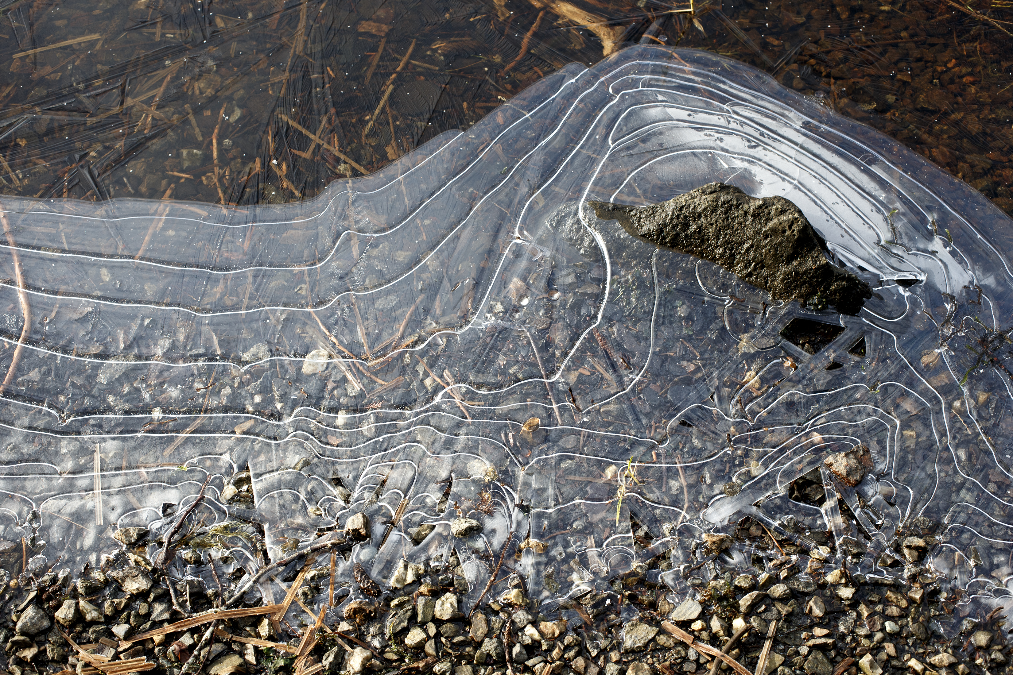 2025 01 30 Icy Conditions 3