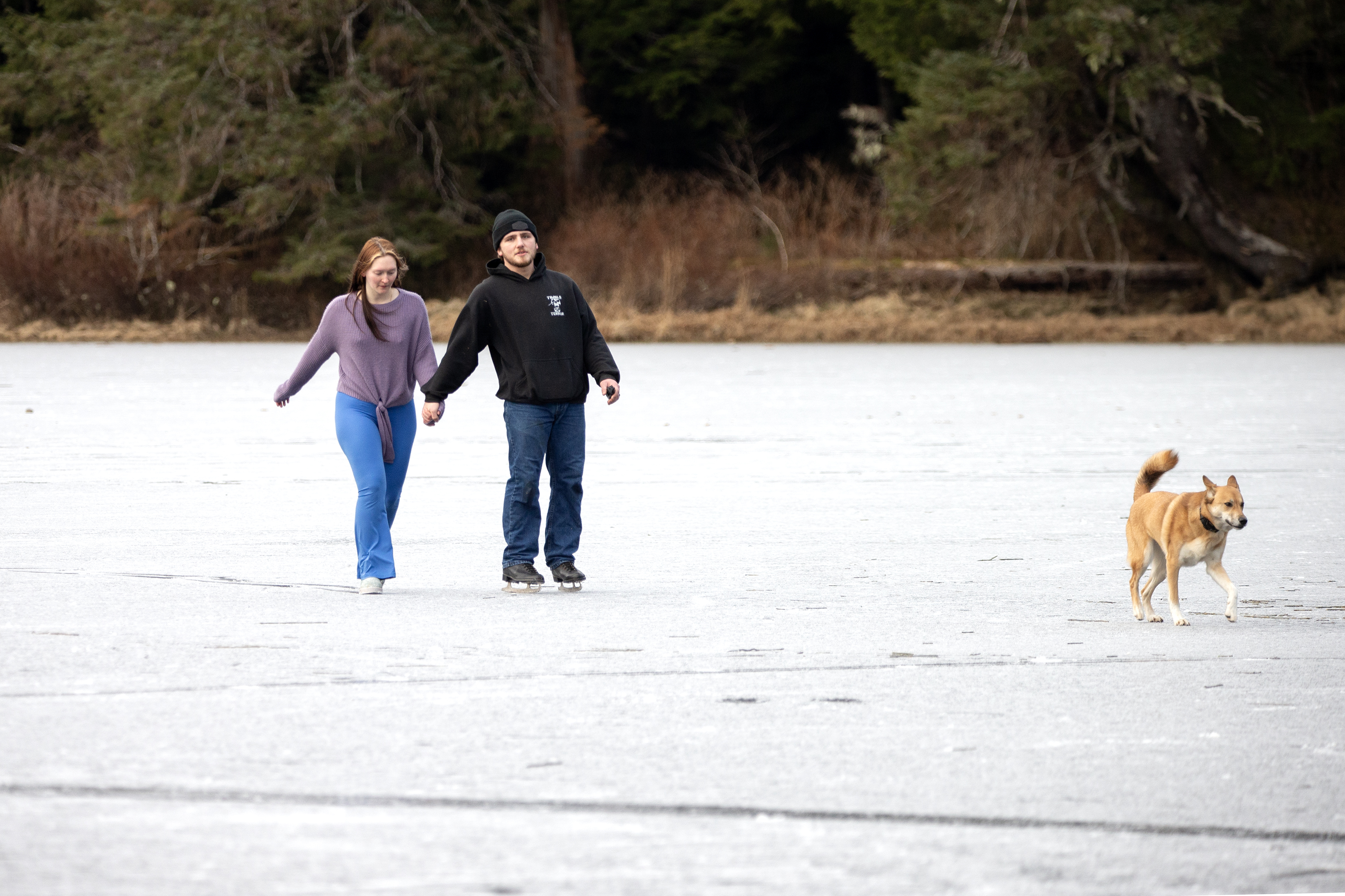 2025 02 09 Frozen Ward Lake 1