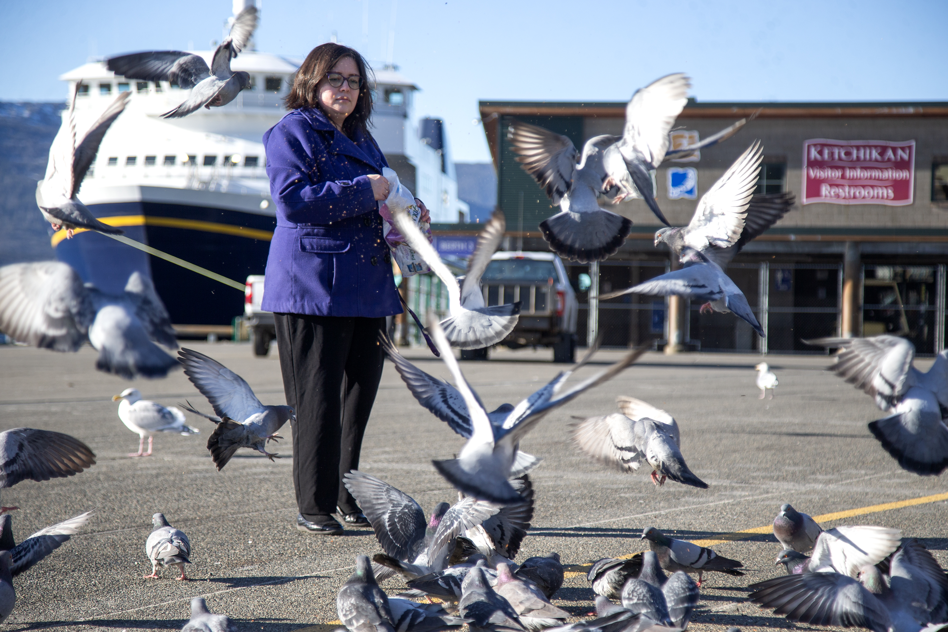 2025 02 11 Feeding Pidgeon 1