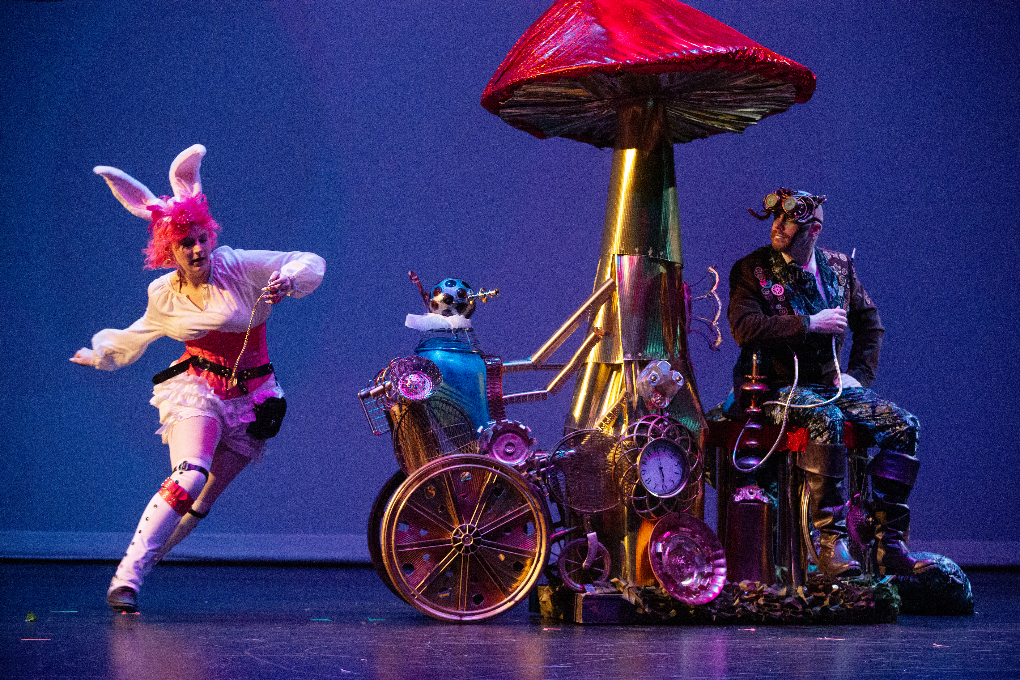2025 04 23 Alice in Wonderland 2