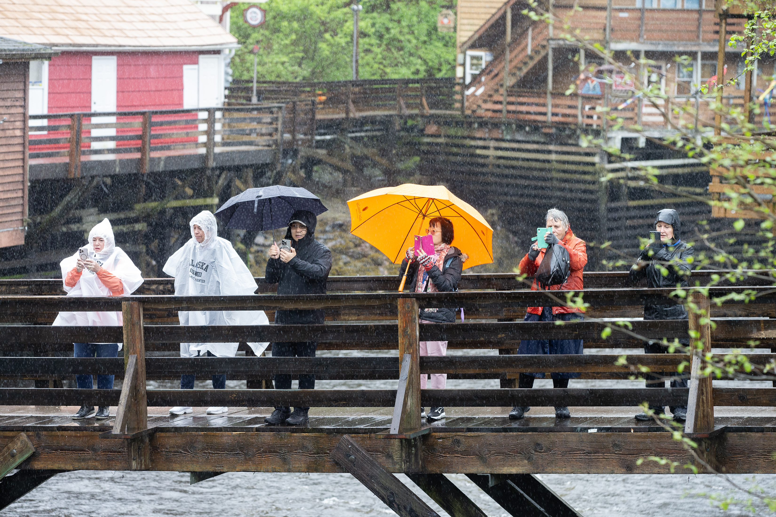 2025 05 01 Rainy Photo Op