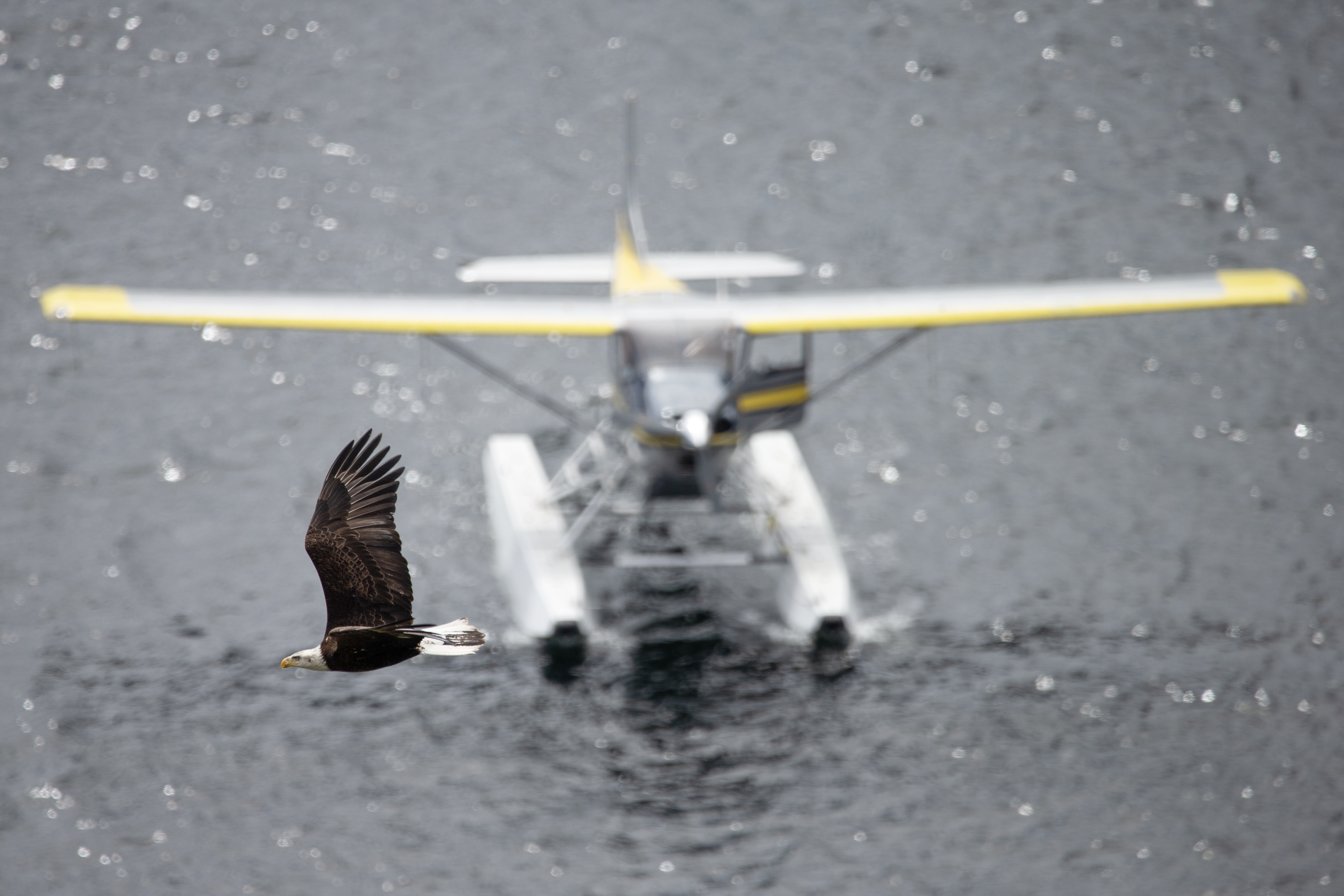 2025 05 14 Eagle Float Plane