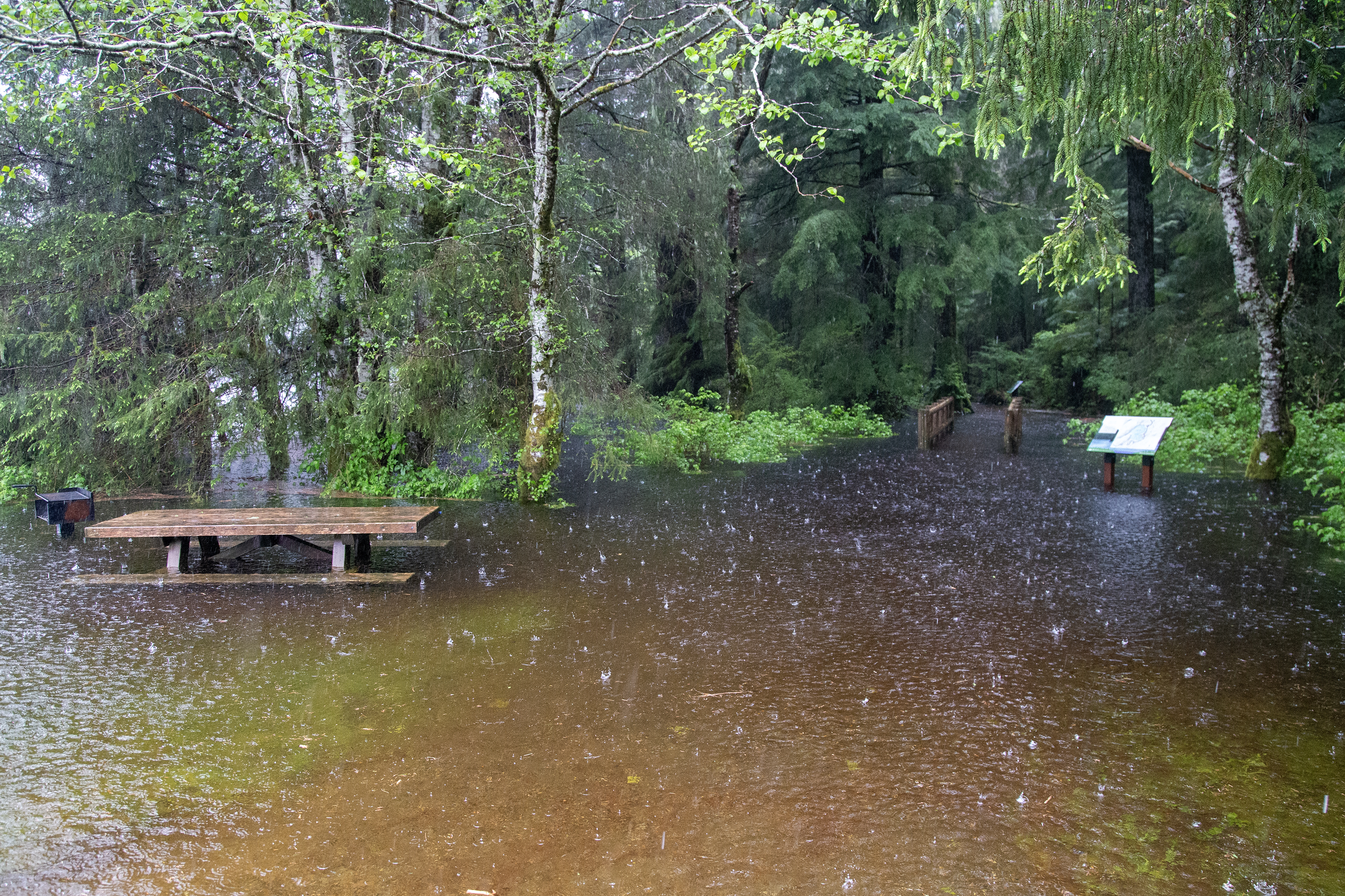 2025 05 28 Ward Lake Flooding 2